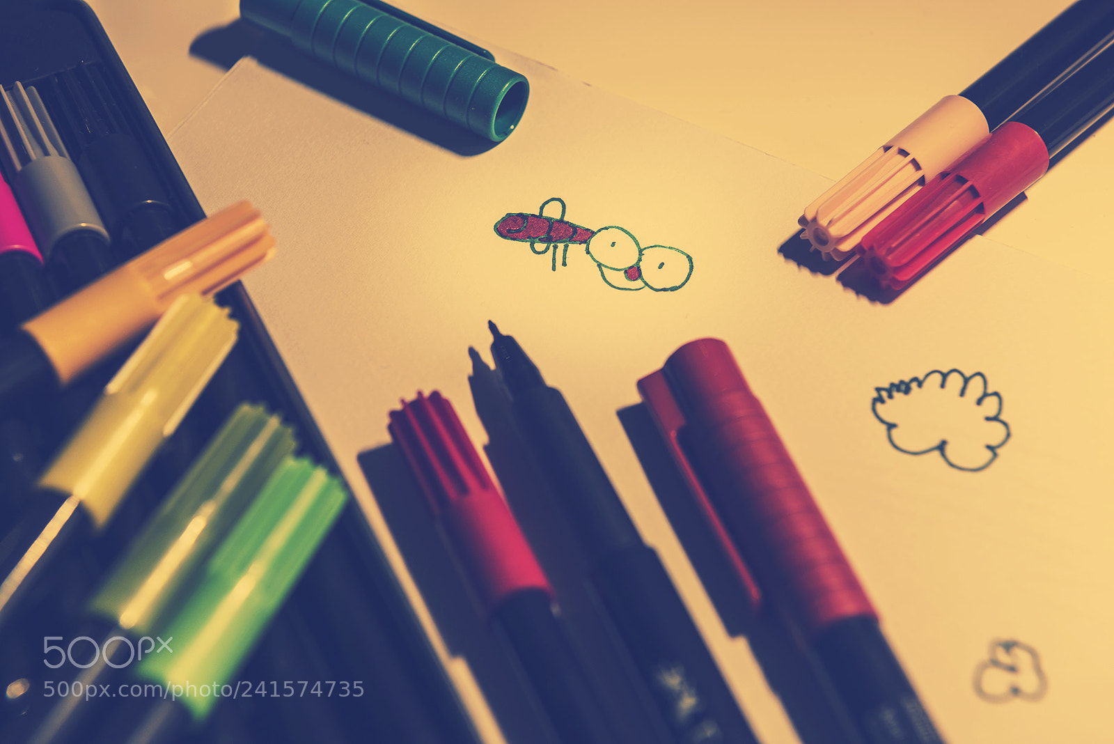 Nikon D810 sample photo. Son fly photography