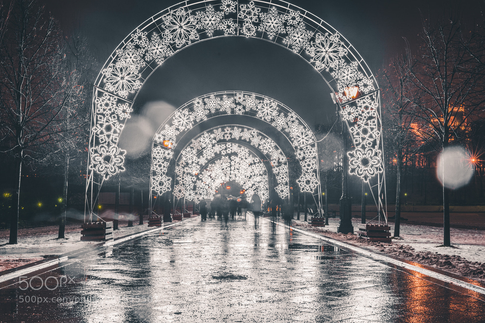 Nikon D7100 sample photo. Snowflake gates photography
