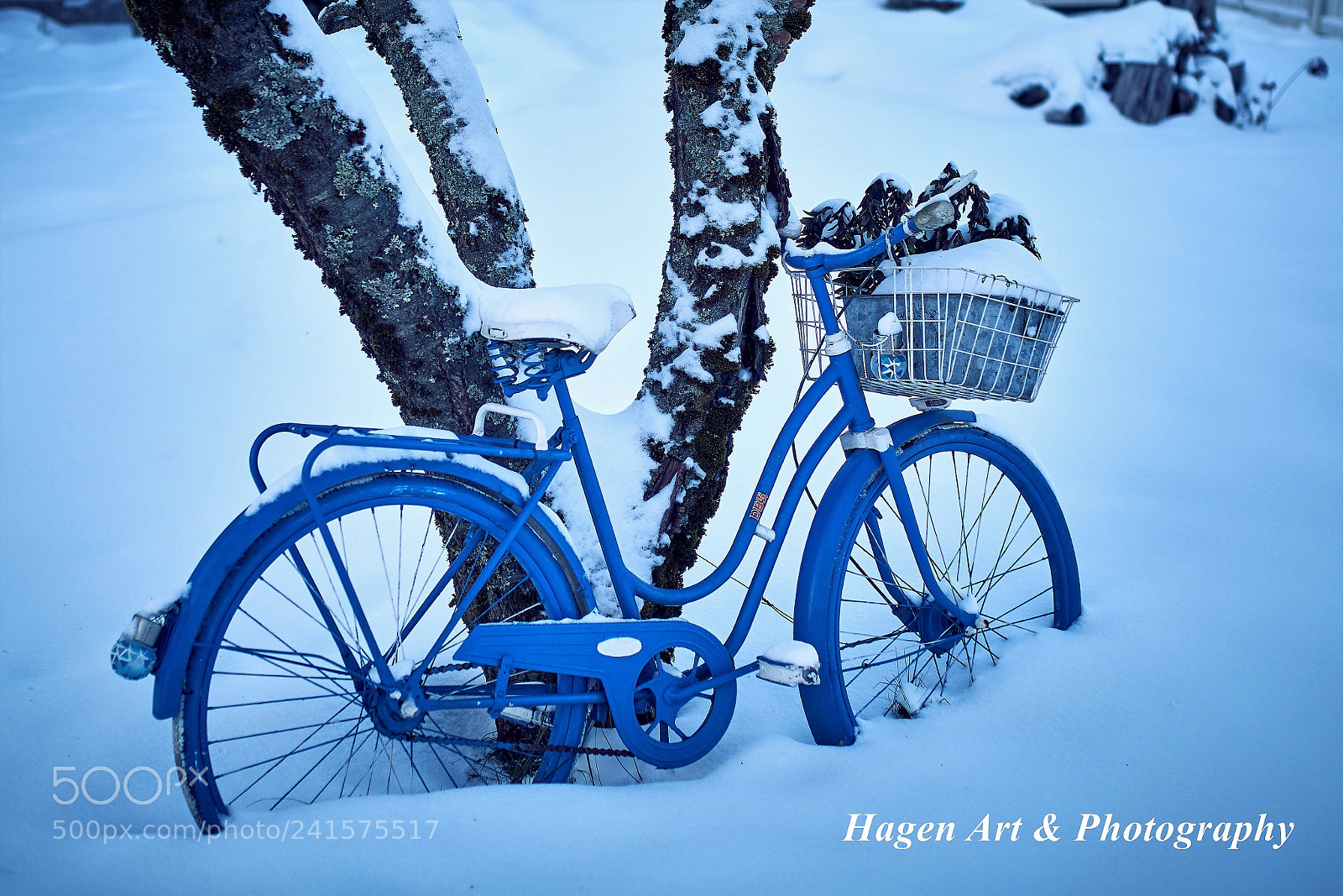 Sony ILCA-77M2 sample photo. Blue bicycle photography