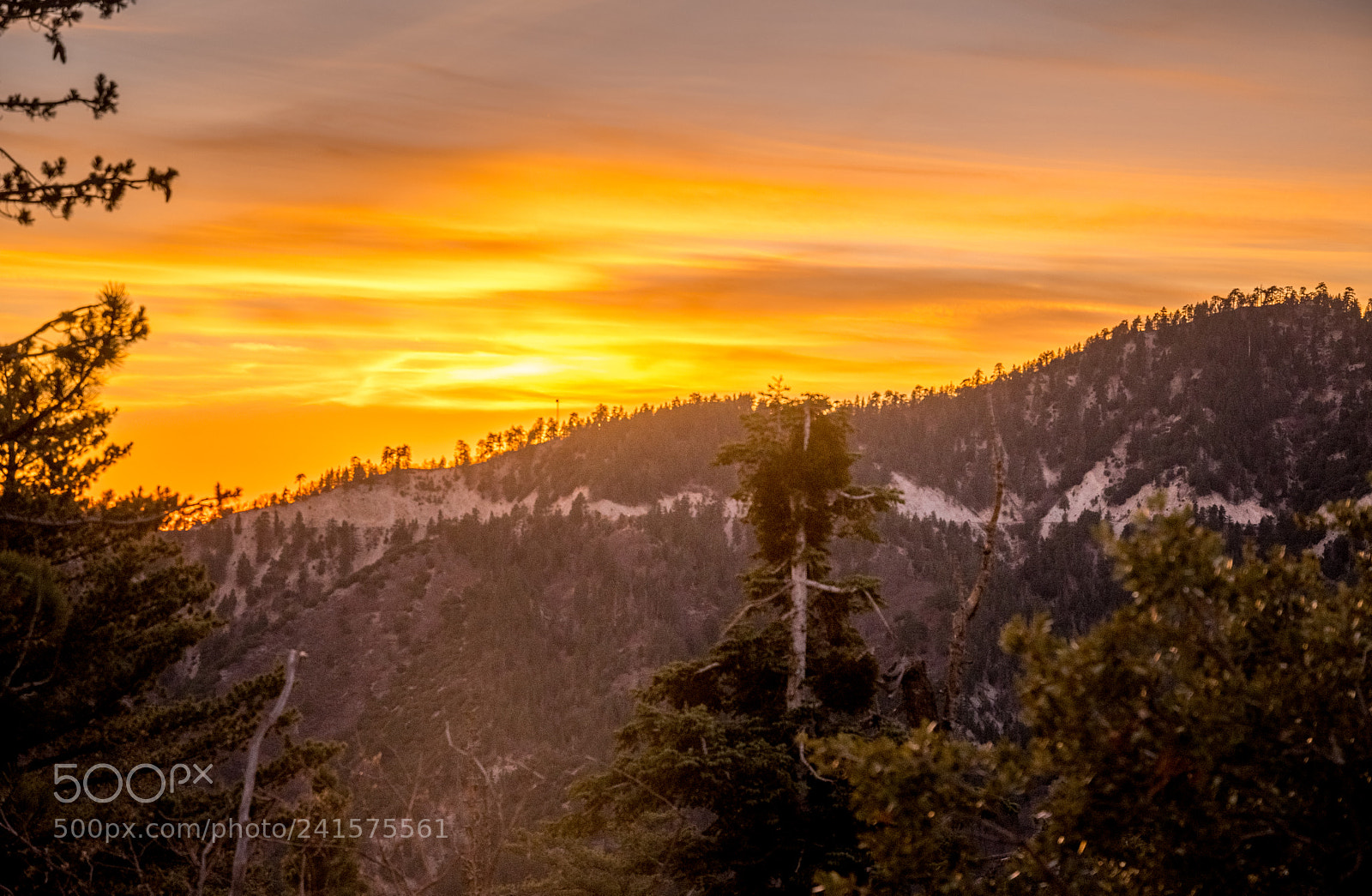 Nikon D500 sample photo. Big bear sunset photography