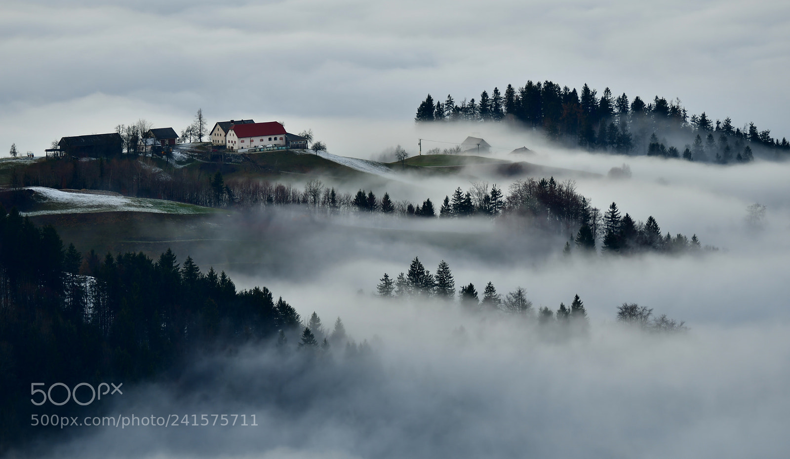 Nikon D500 sample photo. Fog in the valley photography
