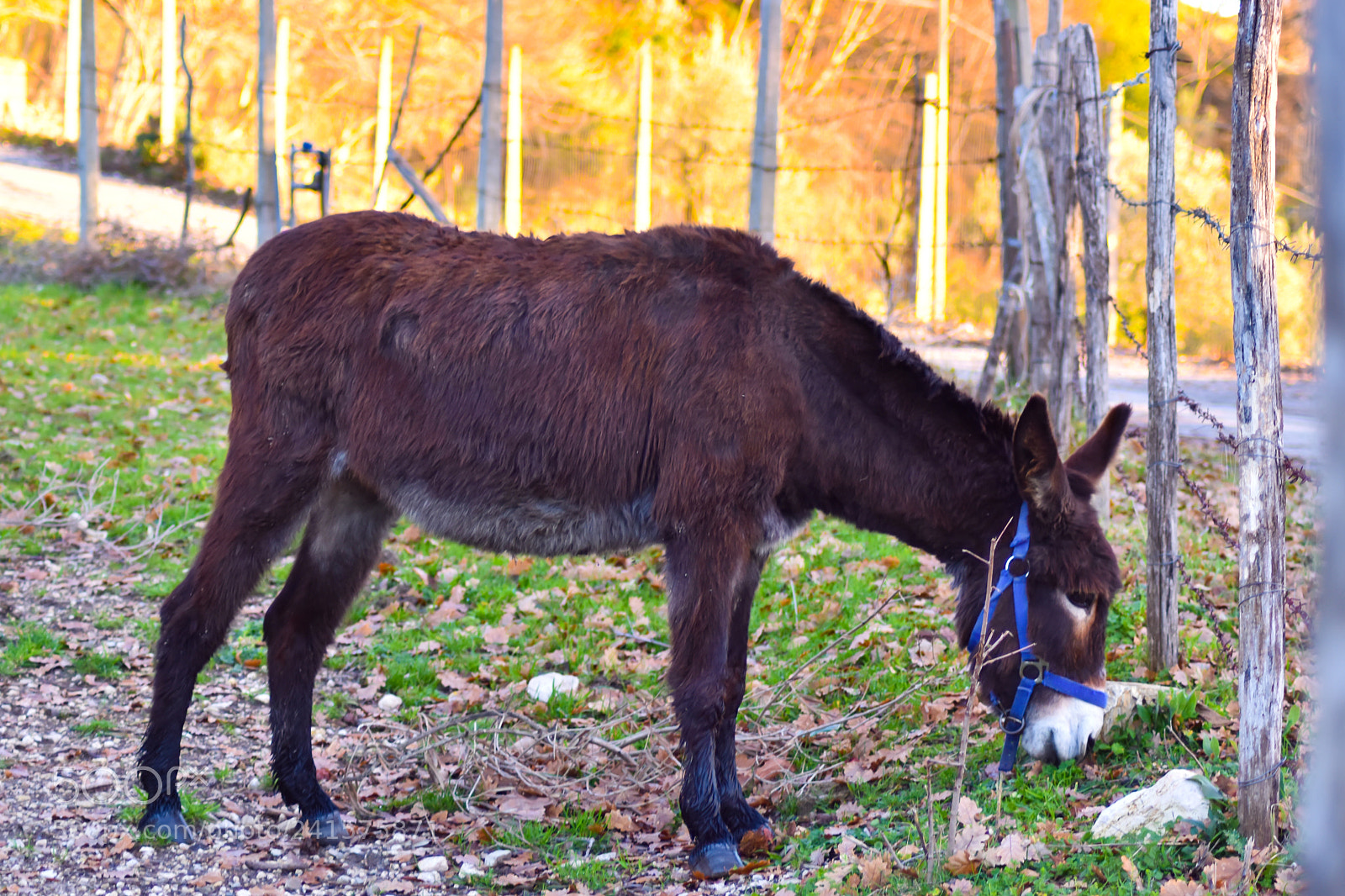 Nikon D3400 sample photo. Dsc photography