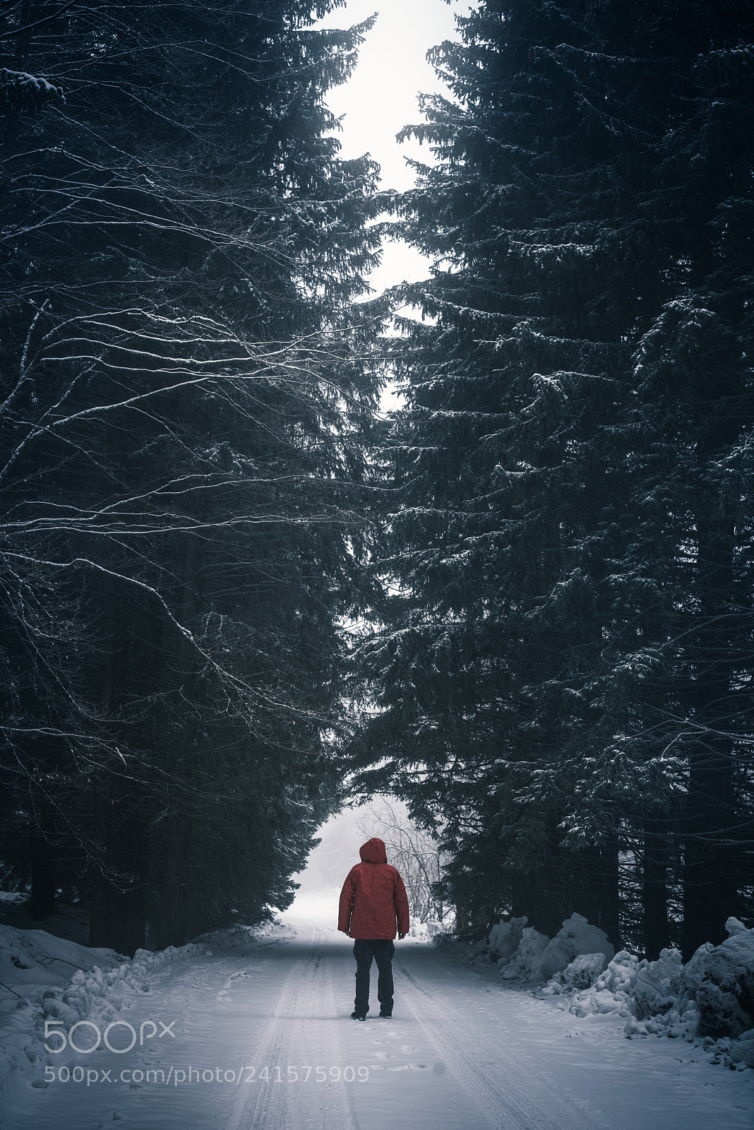 Nikon D810 sample photo. Freezing photography