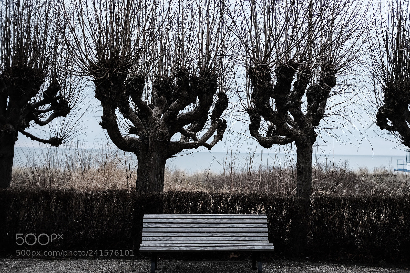 Fujifilm X100F sample photo. Bench in front of photography