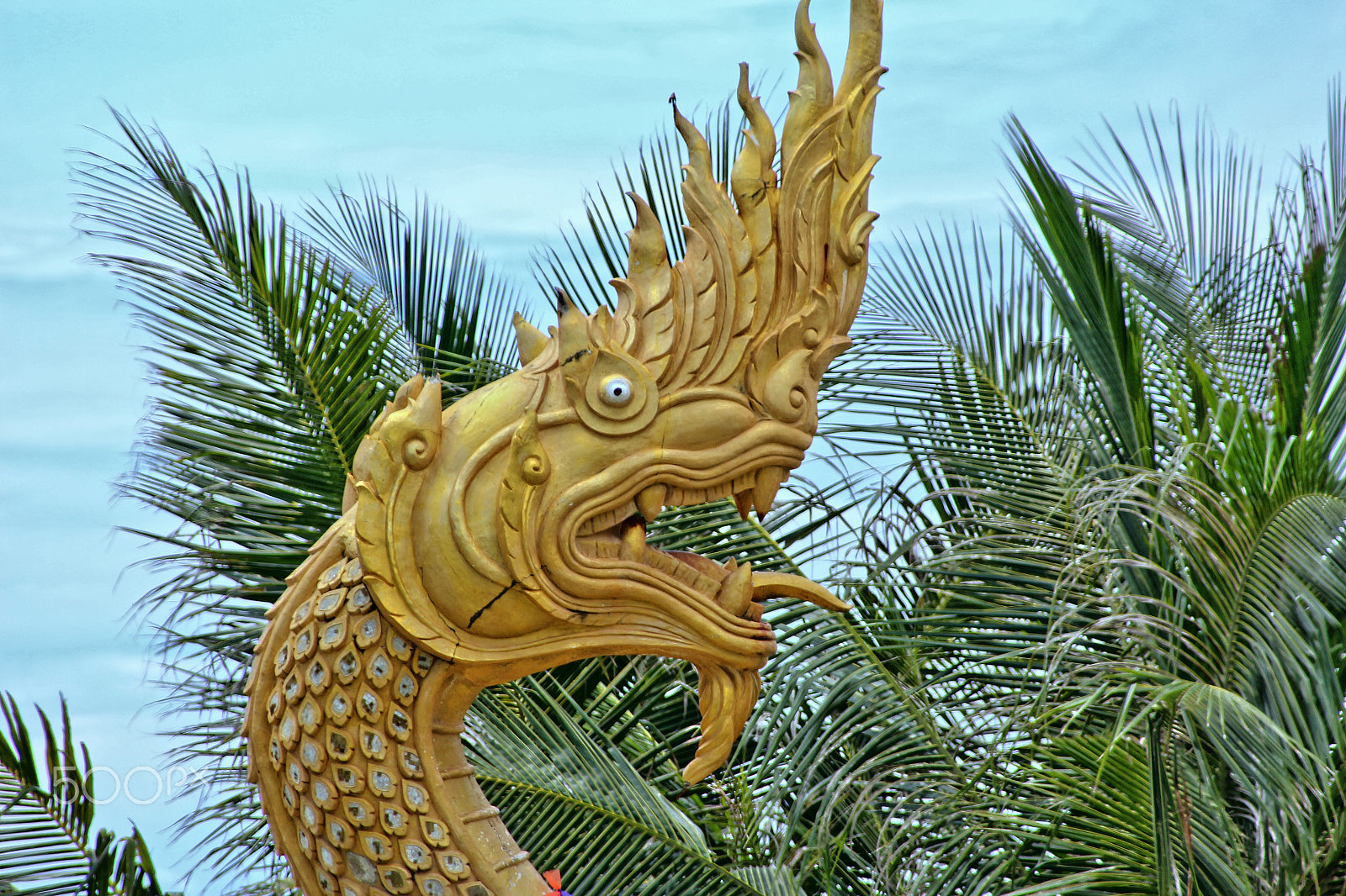Canon EOS 650D (EOS Rebel T4i / EOS Kiss X6i) sample photo. Phuket drache photography