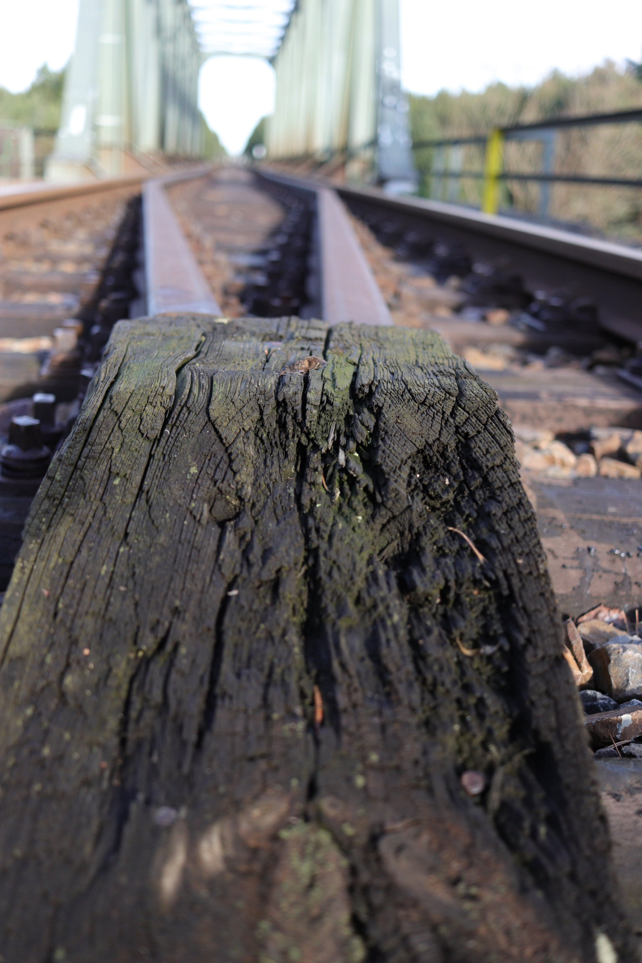 Canon EF-S 24mm F2.8 STM sample photo