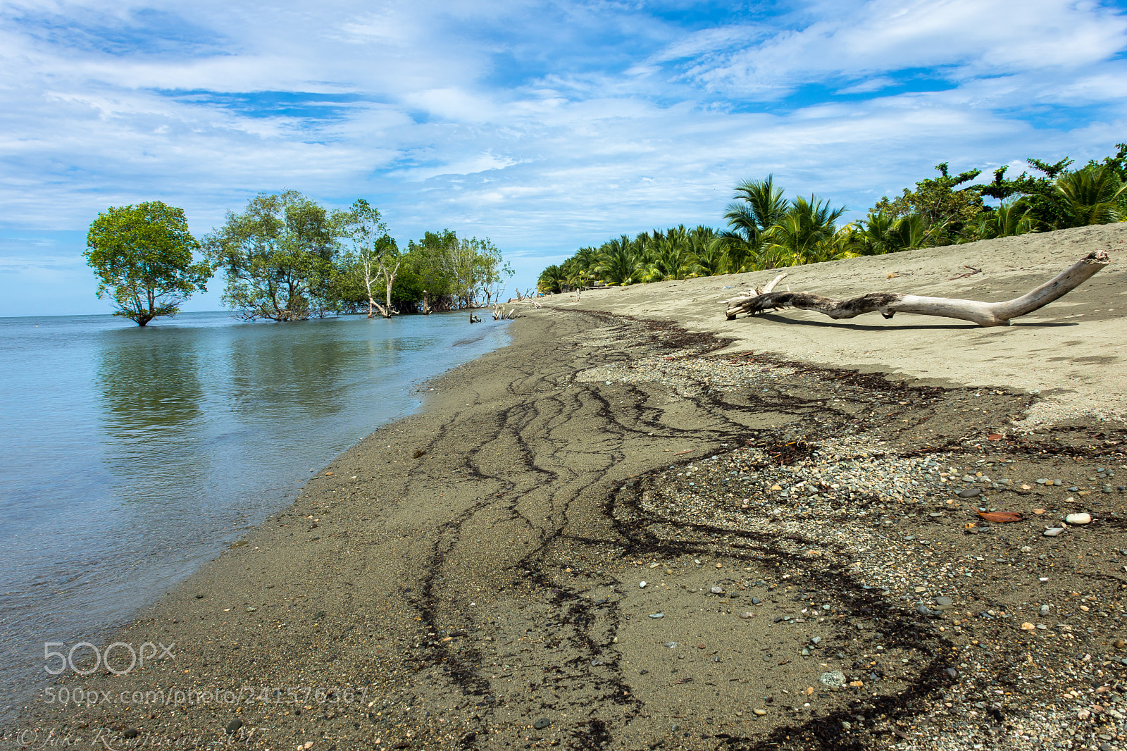 Nikon D7200 sample photo. Untitled photography