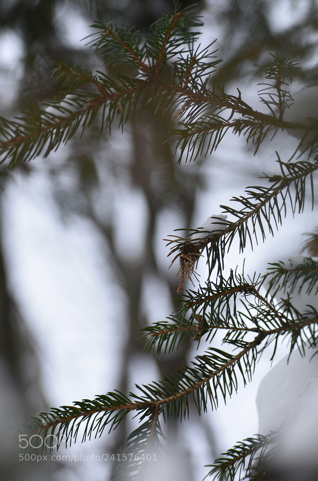 Nikon D3400 sample photo. Iphone wallpaper photography