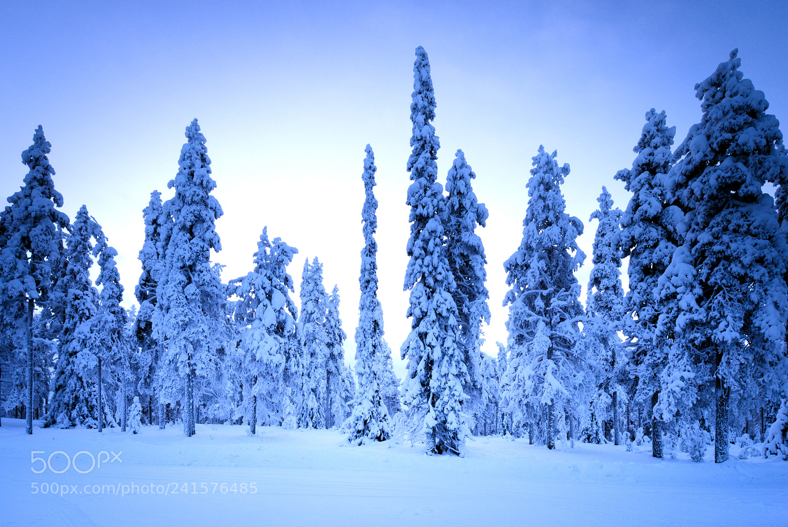 Pentax K-1 sample photo. Winter day photography