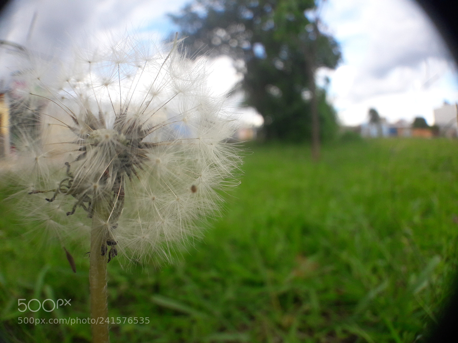 Samsung Galaxy J7 sample photo. Untitled photography