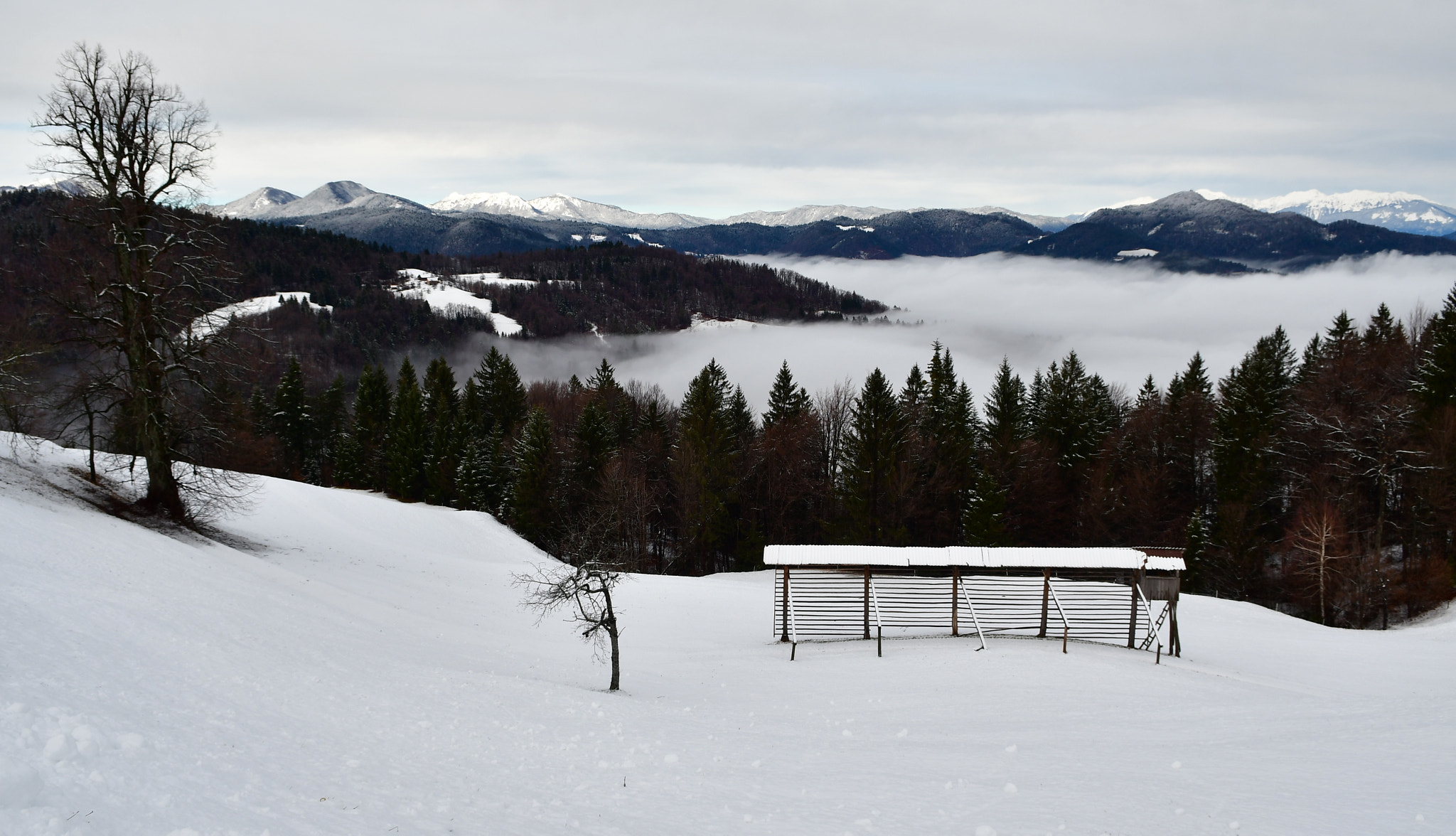 Nikon D7500 sample photo. Fog in the valley photography