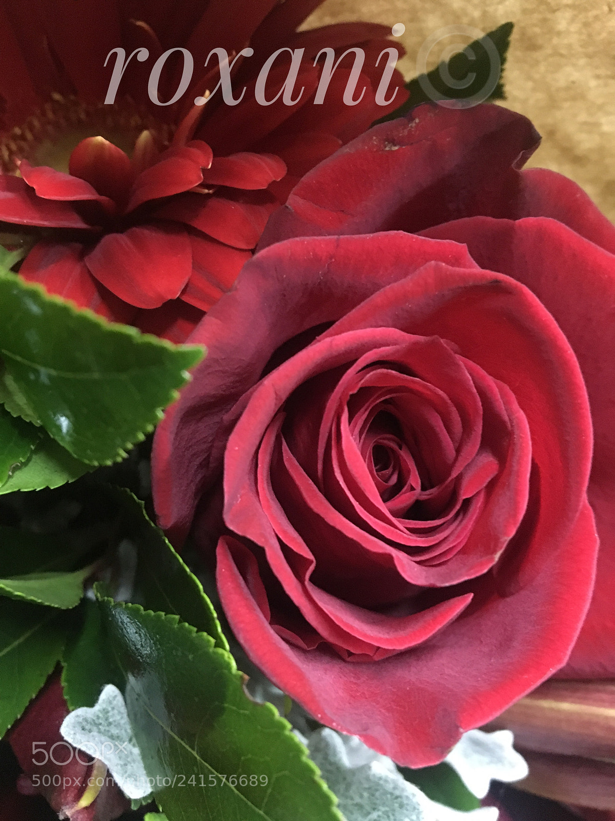 Apple iPhone 6s sample photo. Для тебя photography