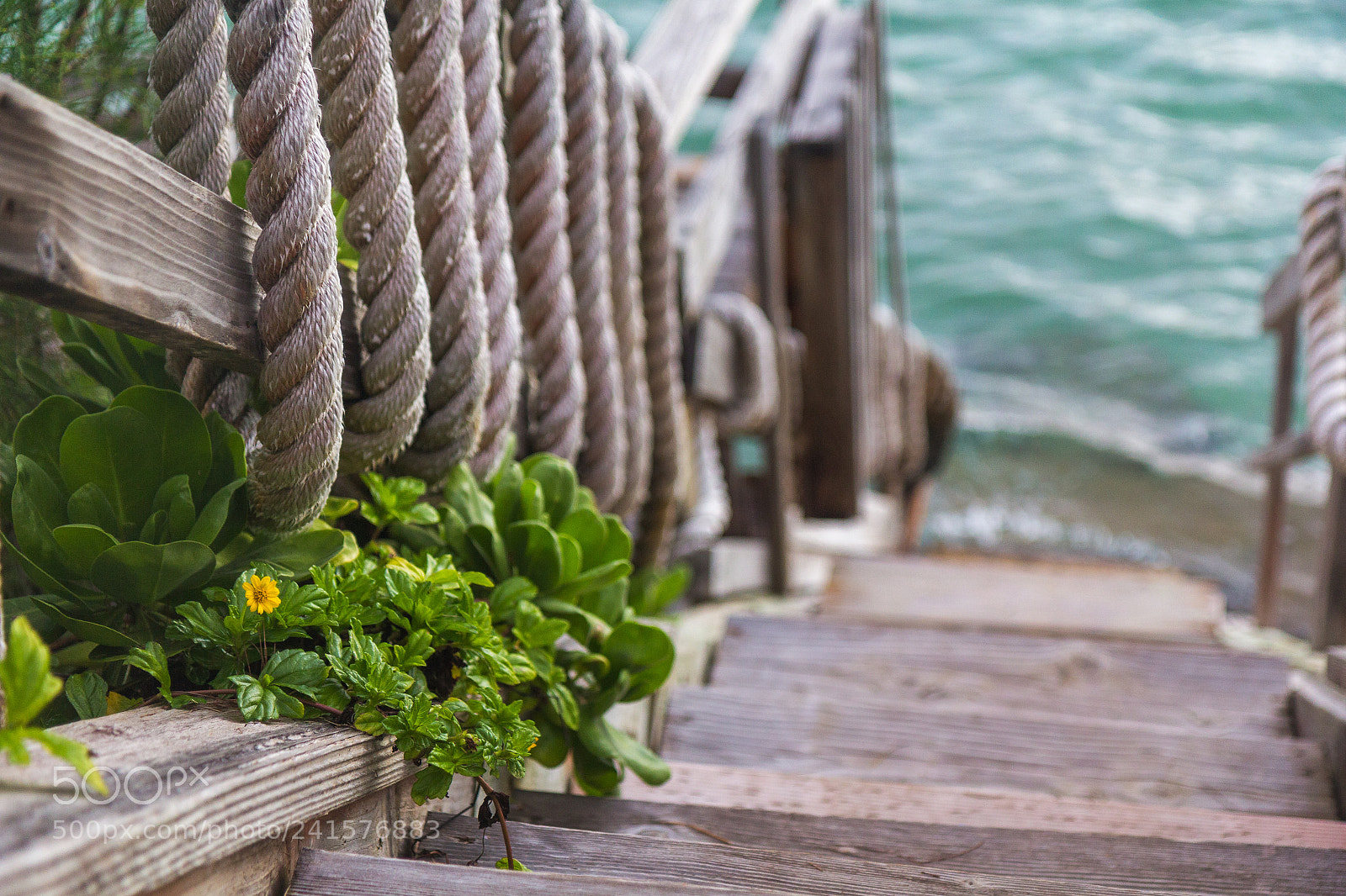 Canon EOS 60D sample photo. Down to the water photography