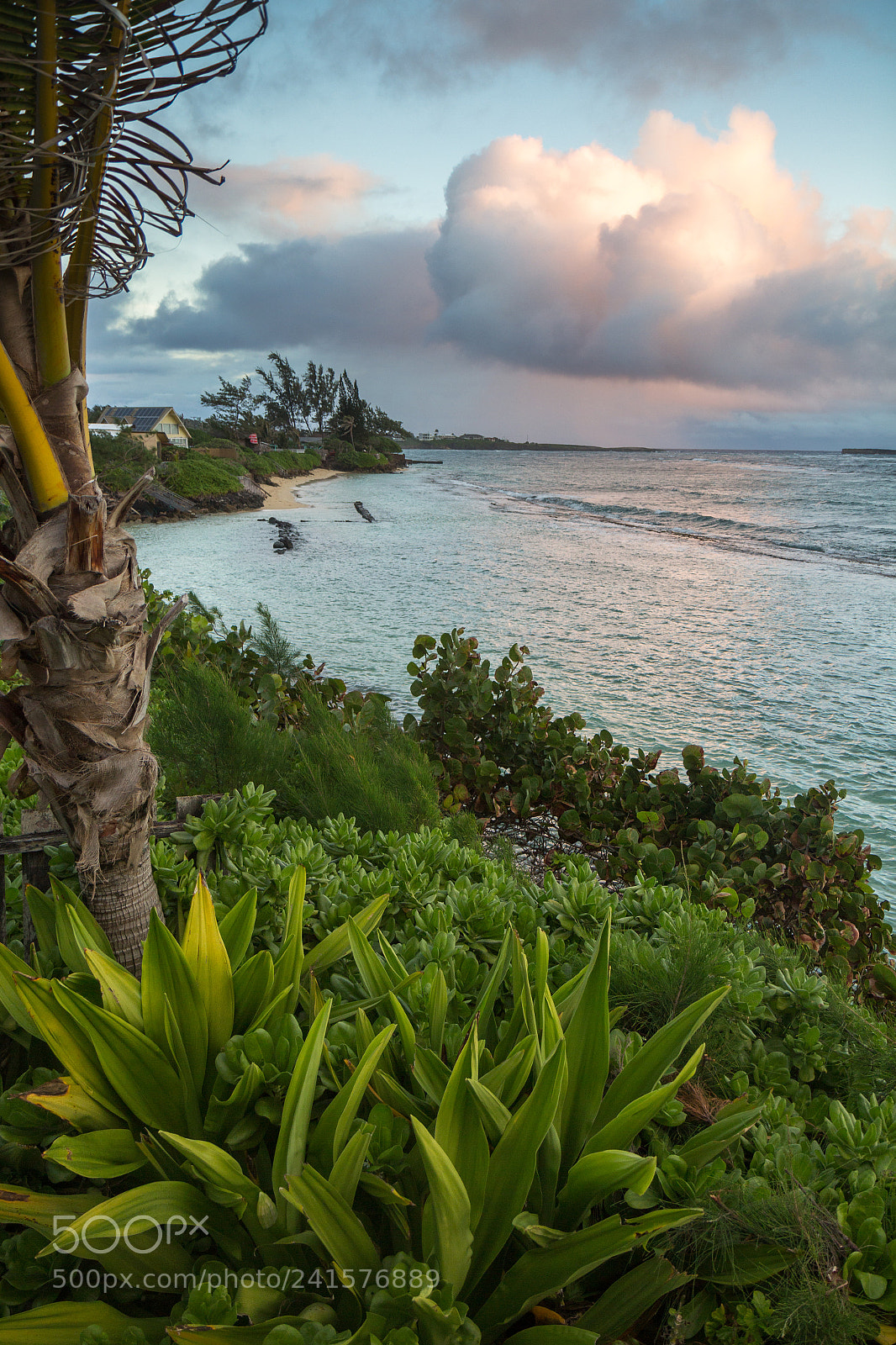 Canon EOS 60D sample photo. Hawaii costline photography