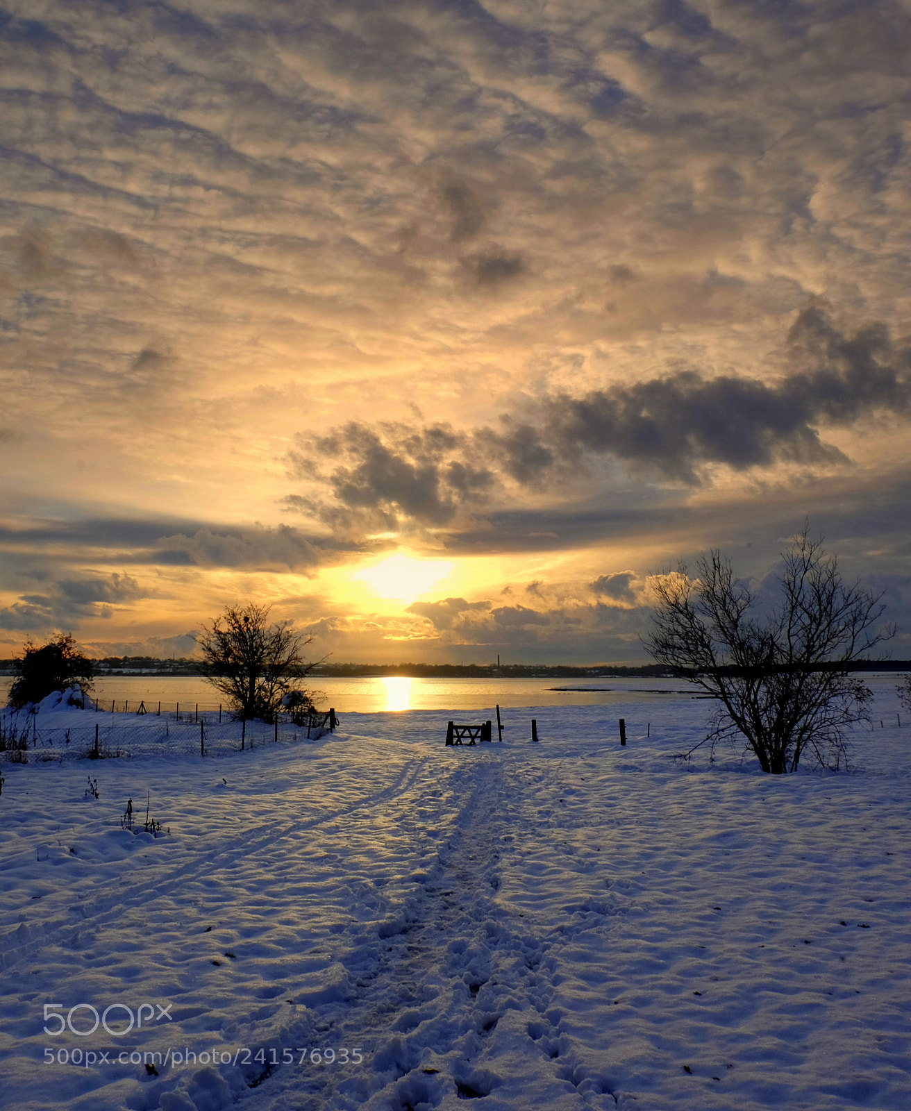 Fujifilm X-M1 sample photo. Path in the snow photography