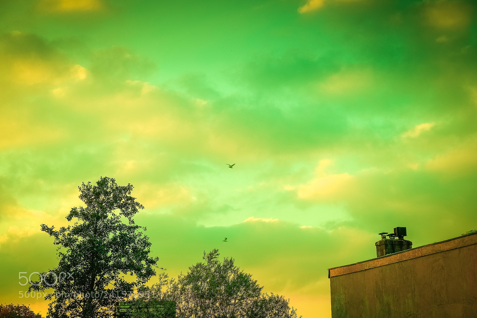 Fujifilm X-E2 sample photo. Green day photography