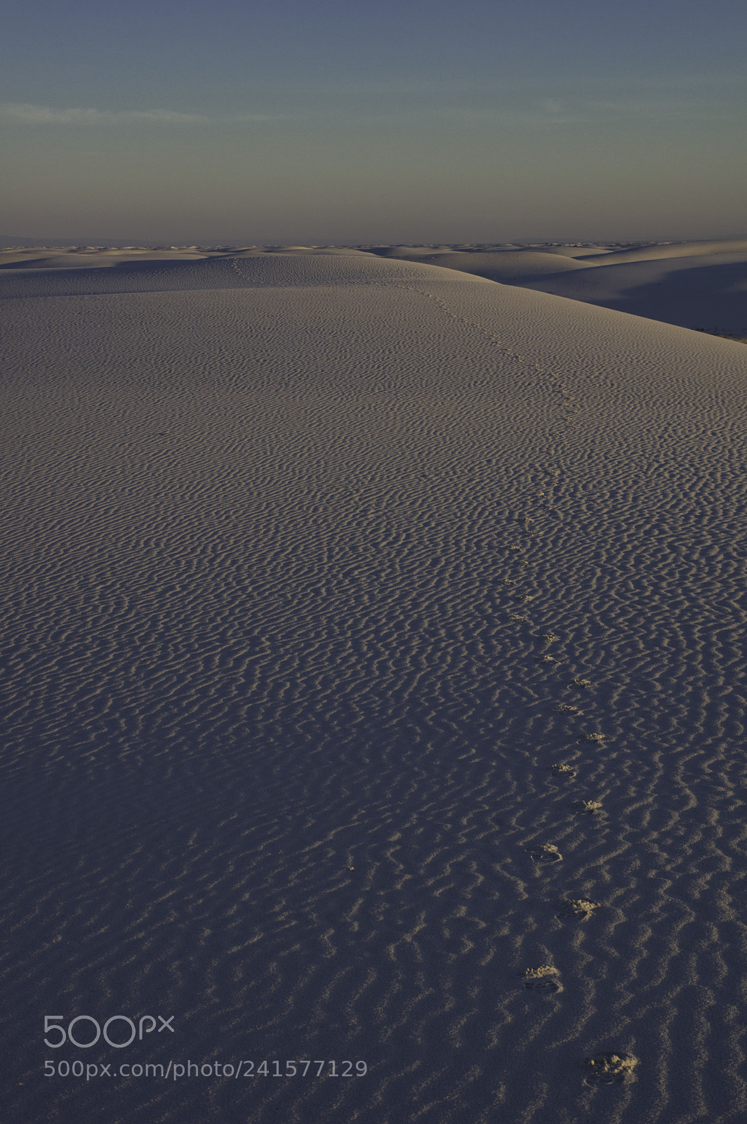 Pentax K-3 II sample photo. White sands footprints photography