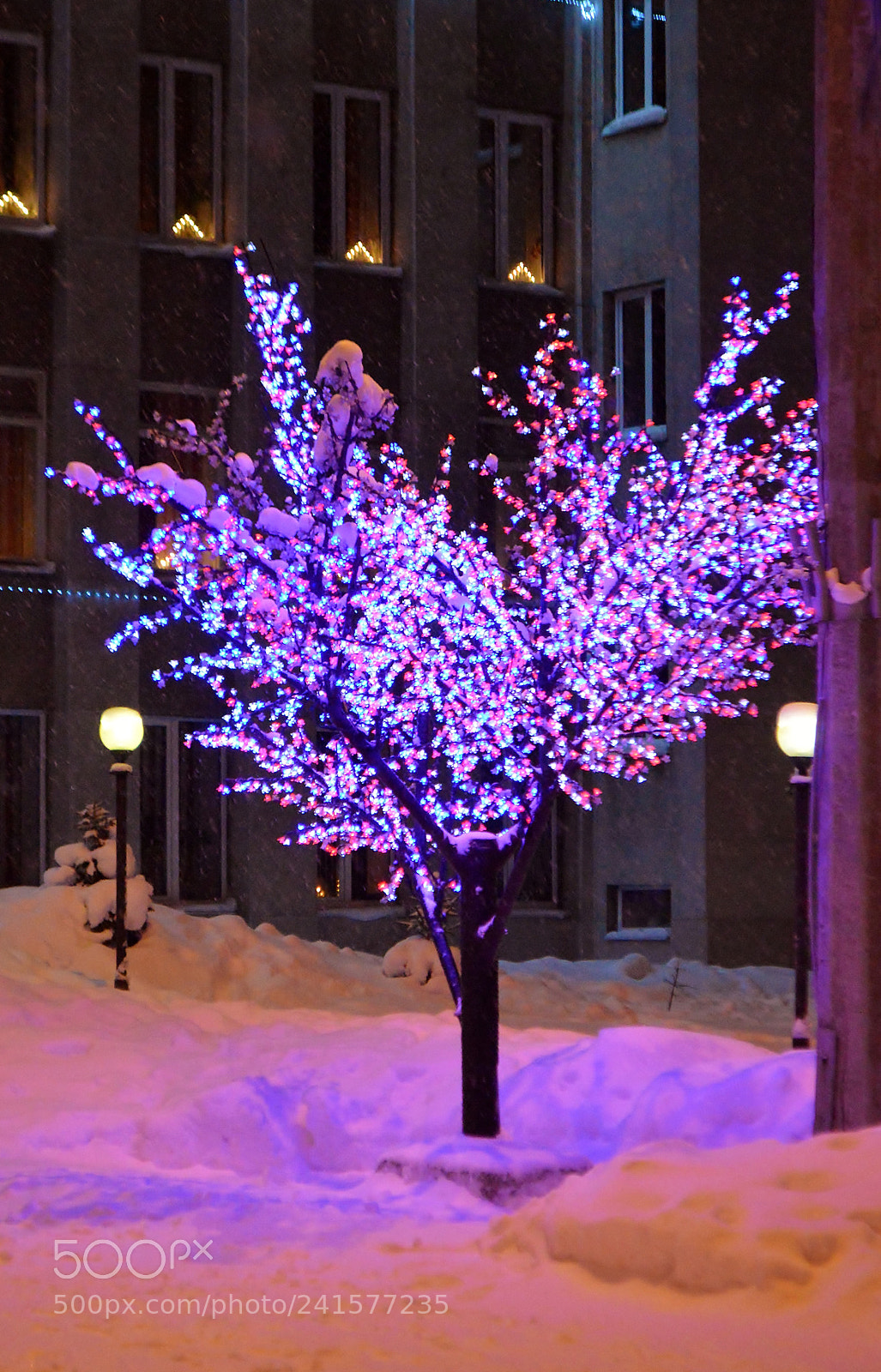 Nikon D3200 sample photo. Dsc 0101 -7.jpg new photography