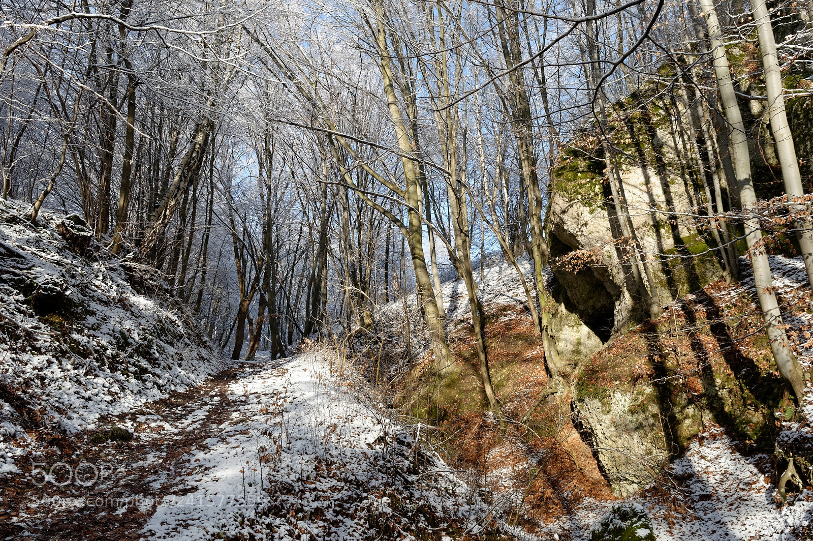 Nikon D3200 sample photo. Weather undecided photography