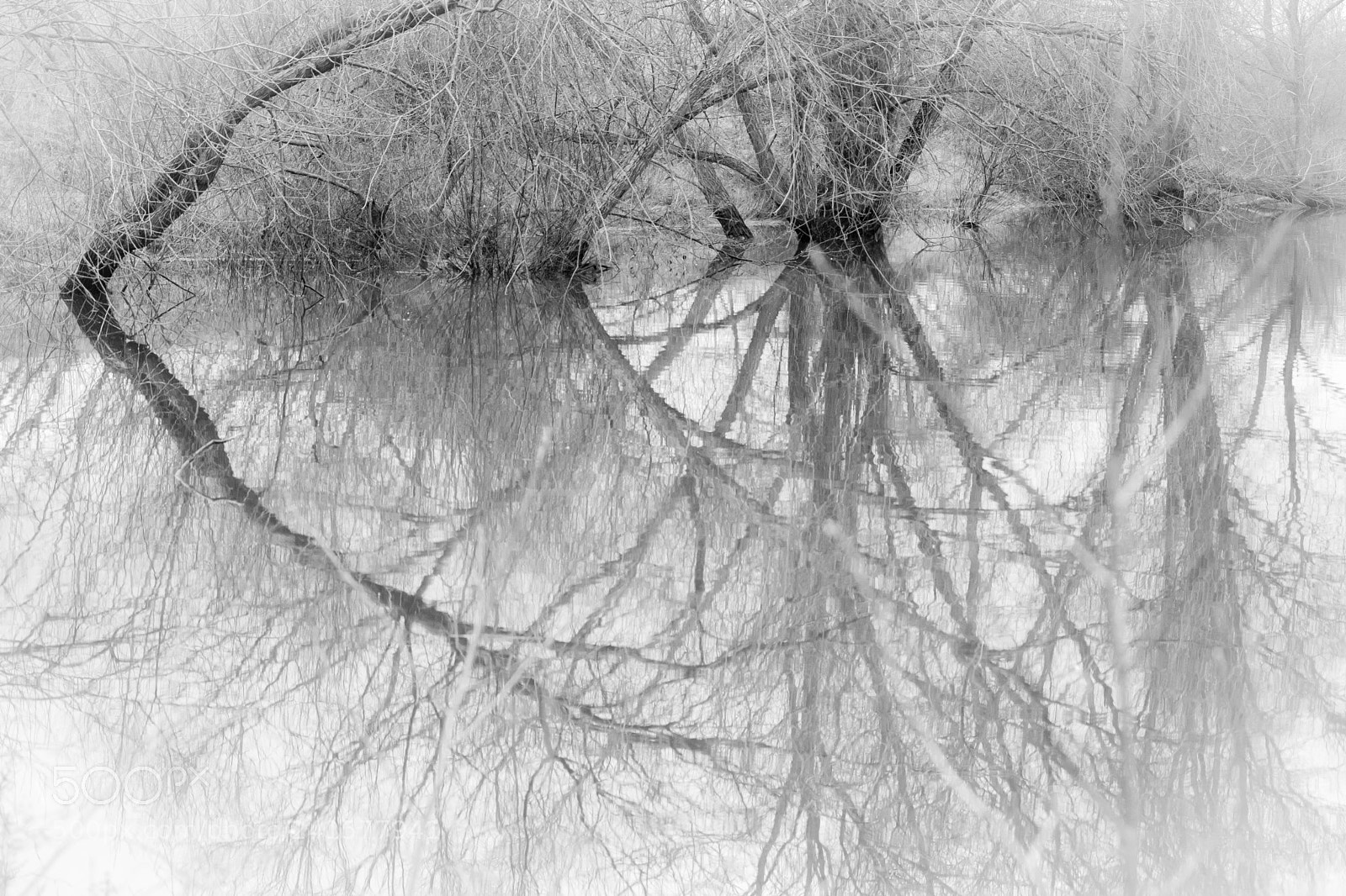 Nikon D7200 sample photo. Mirrored 2 photography