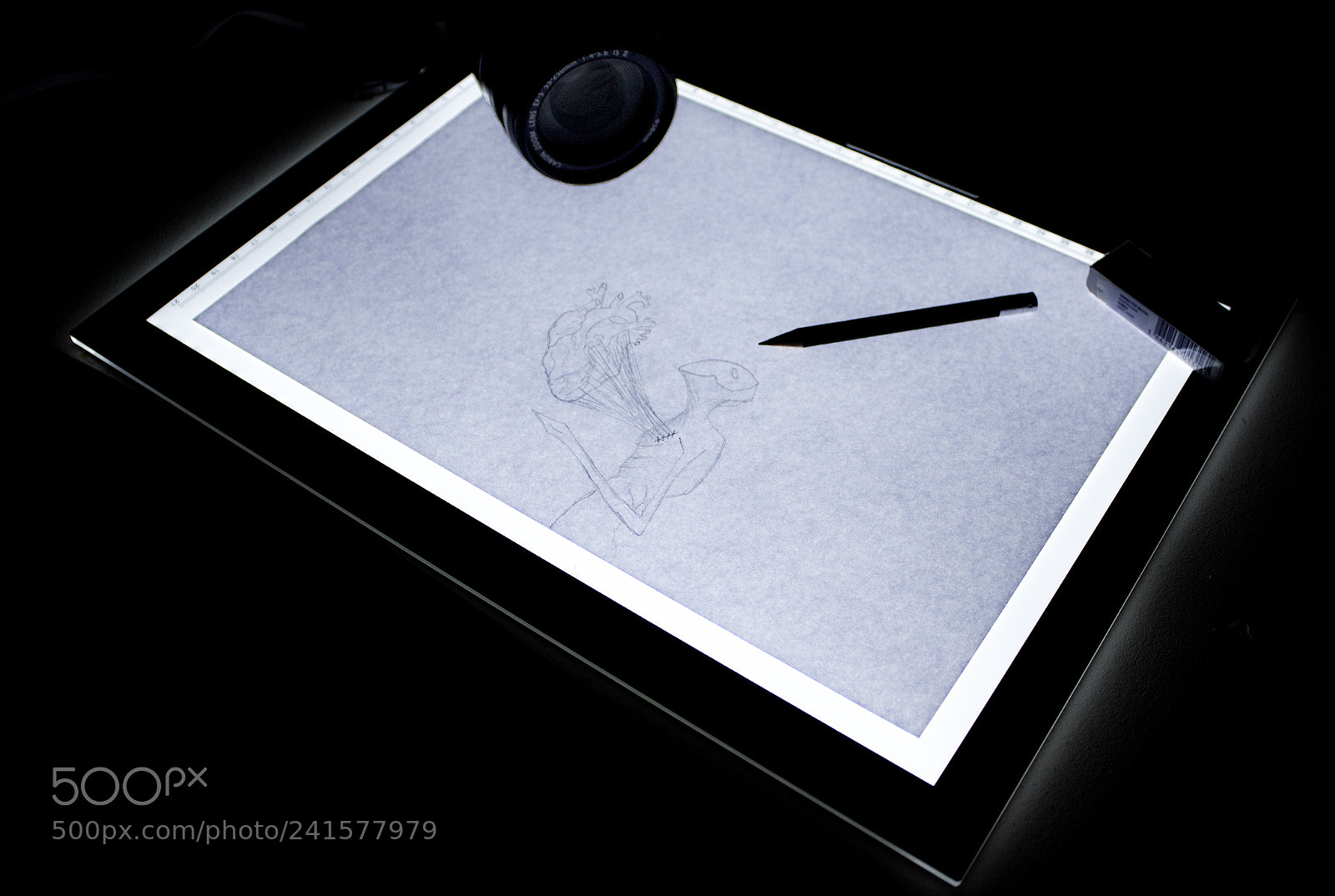 Canon EOS 1200D (EOS Rebel T5 / EOS Kiss X70 / EOS Hi) sample photo. Passion (challange january six) photography