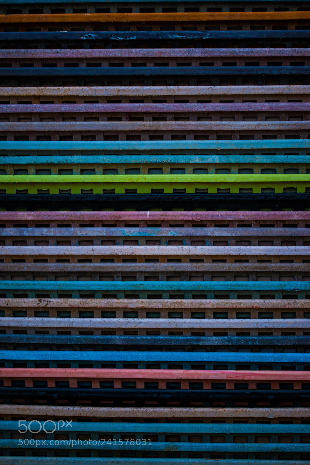 Nikon D700 sample photo. Color ostréa photography