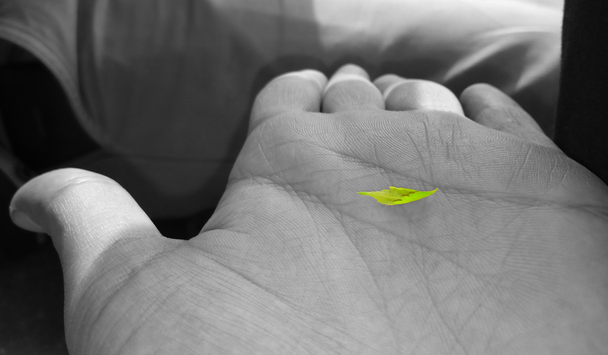 Infinix HOT 4 sample photo. Green photography