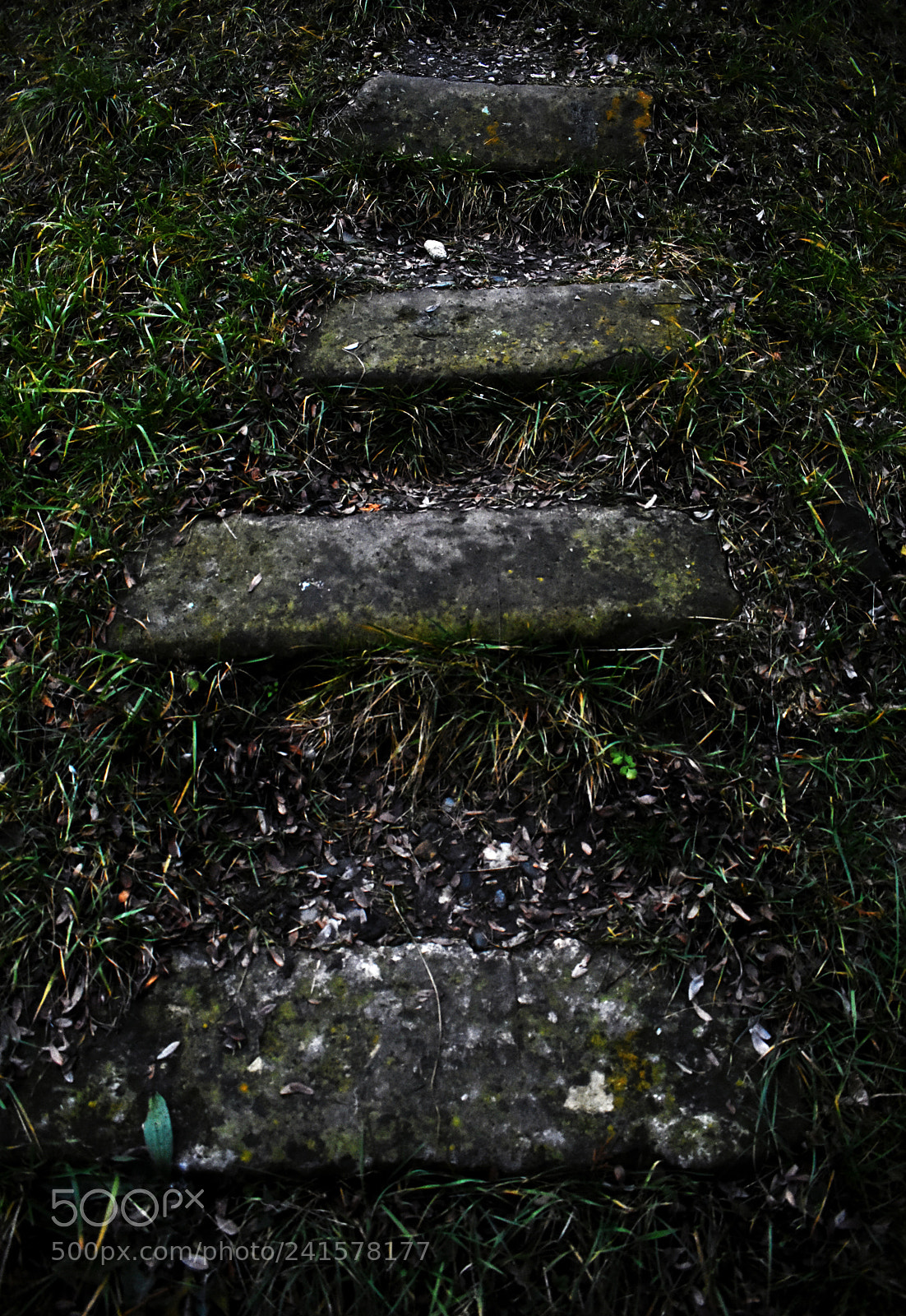 Nikon D3400 sample photo. Steps photography