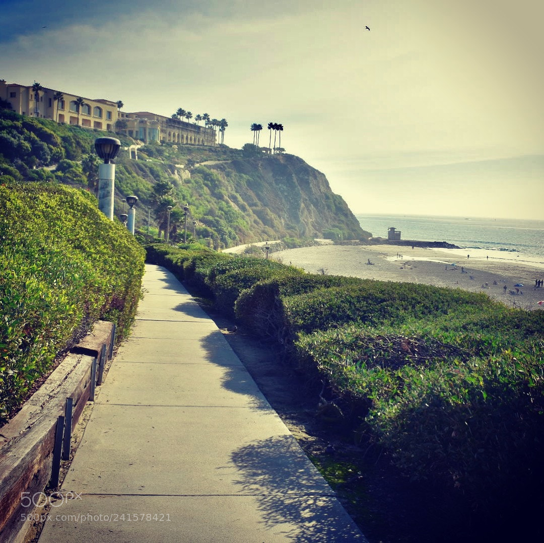 Nikon D3400 sample photo. Beach walk photography