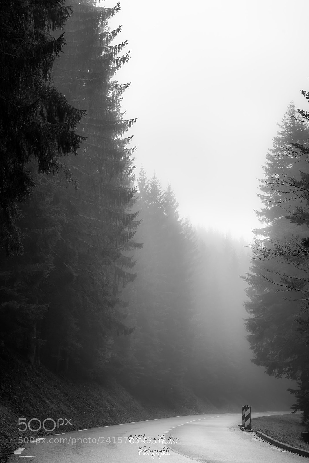 Nikon D800 sample photo. Untitled photography