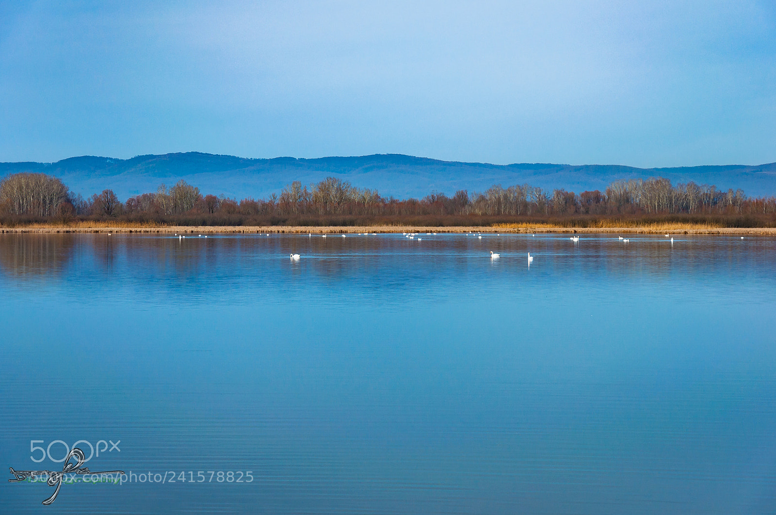 Nikon D90 sample photo. Lake photography