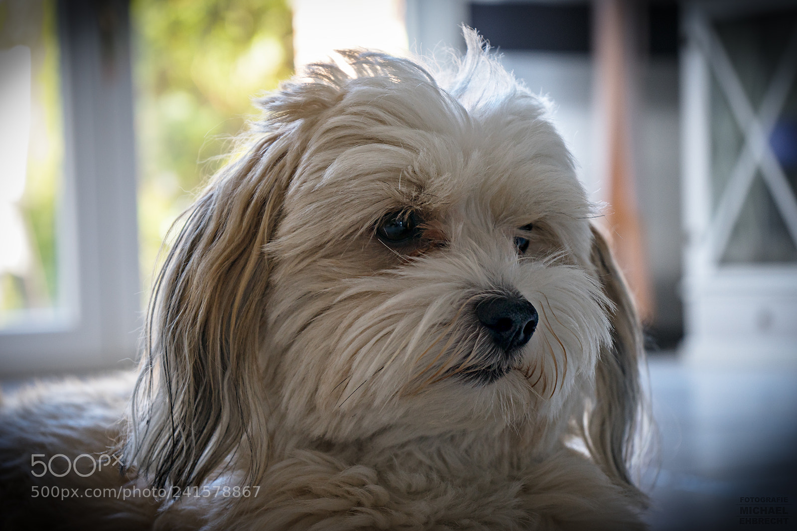 Sony a7 sample photo. Smaug photography