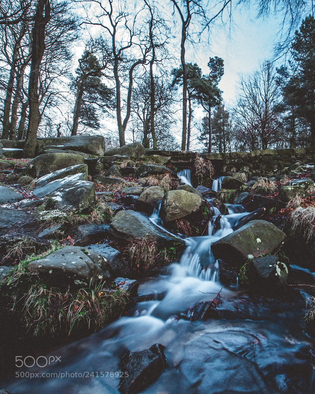 Nikon D500 sample photo. Untitled photography