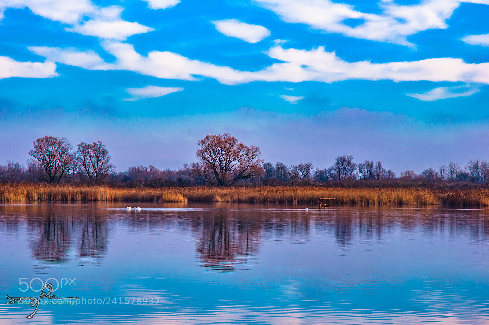 Nikon D90 sample photo. Lake photography