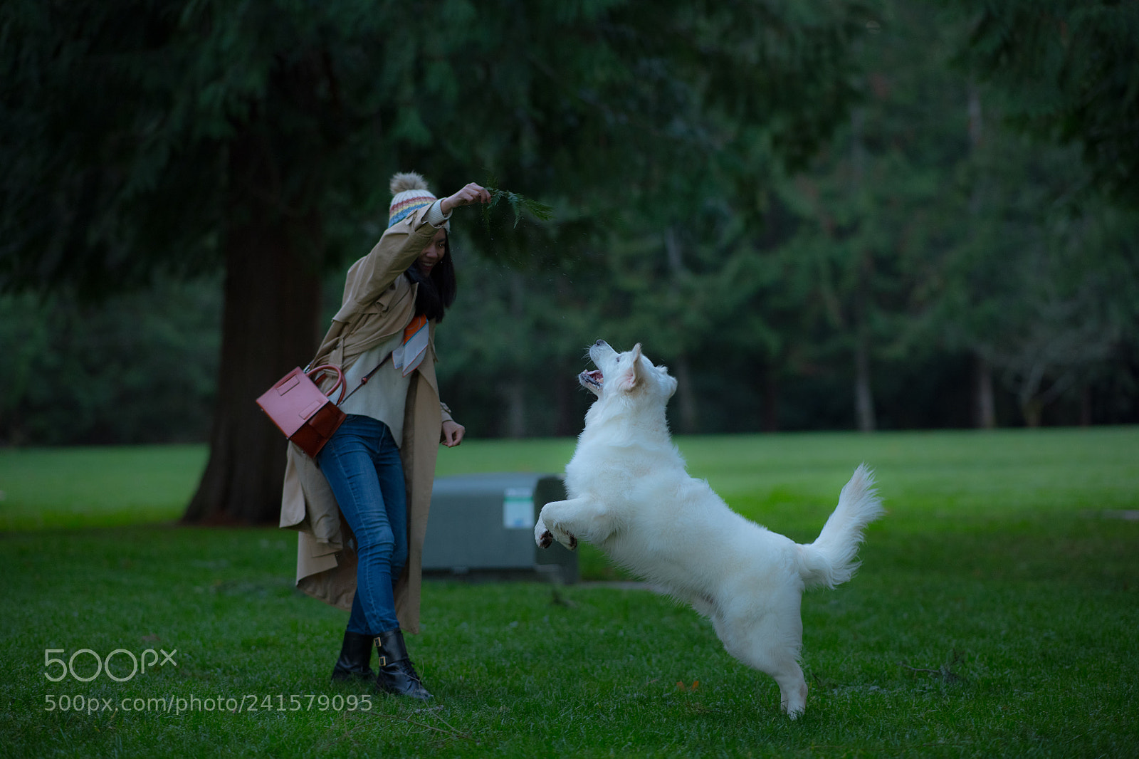 Nikon D850 sample photo. Momo and zozo photography
