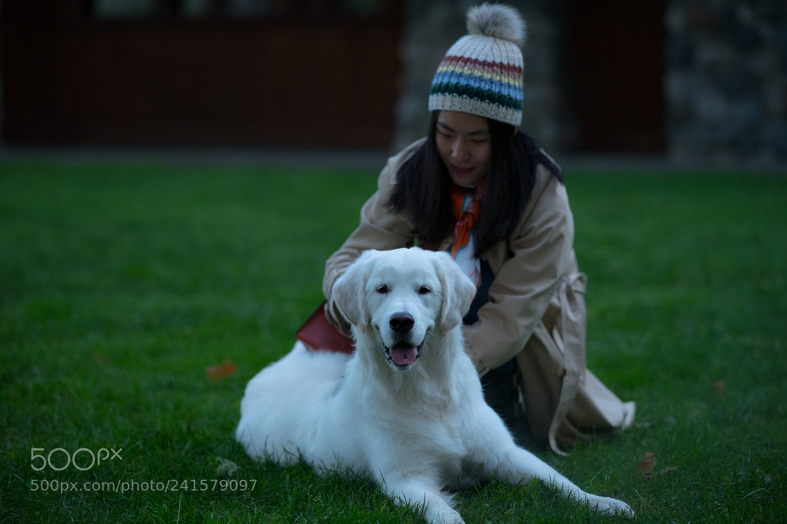 Nikon D850 sample photo. Momo and zozo photography