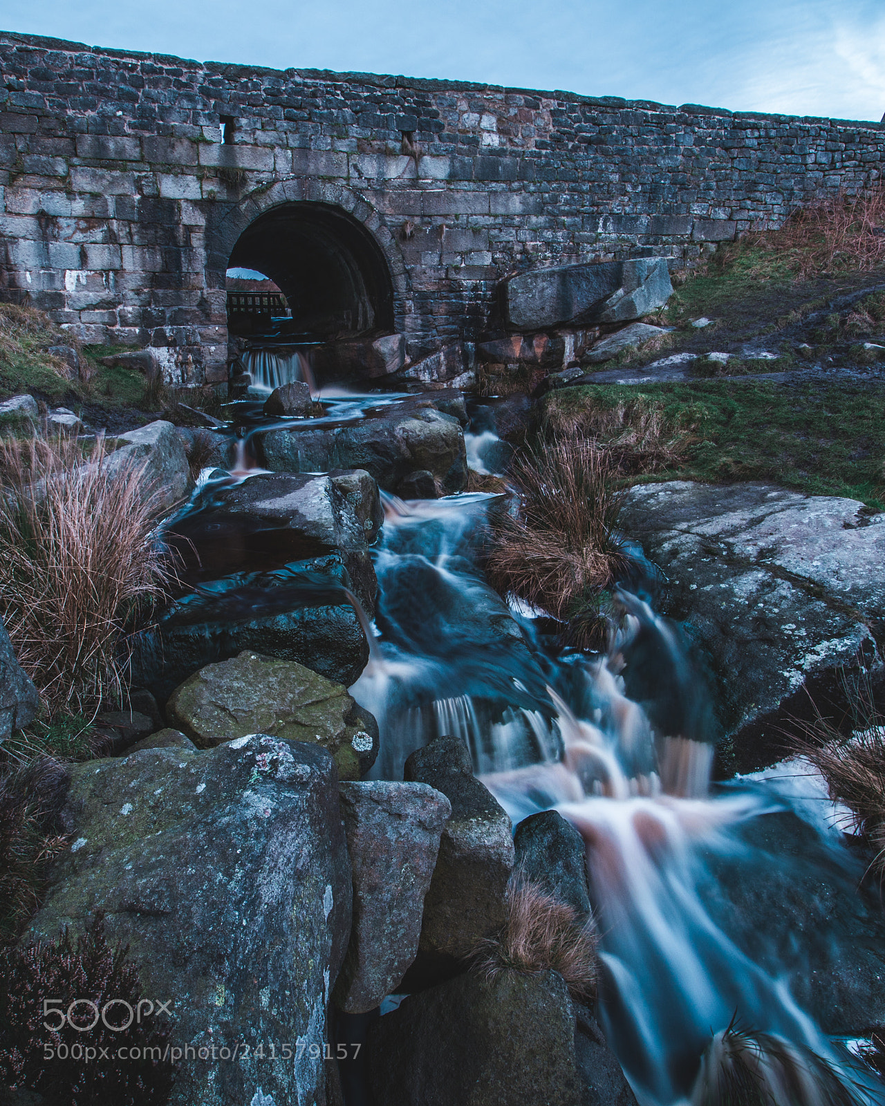 Nikon D500 sample photo. Untitled photography