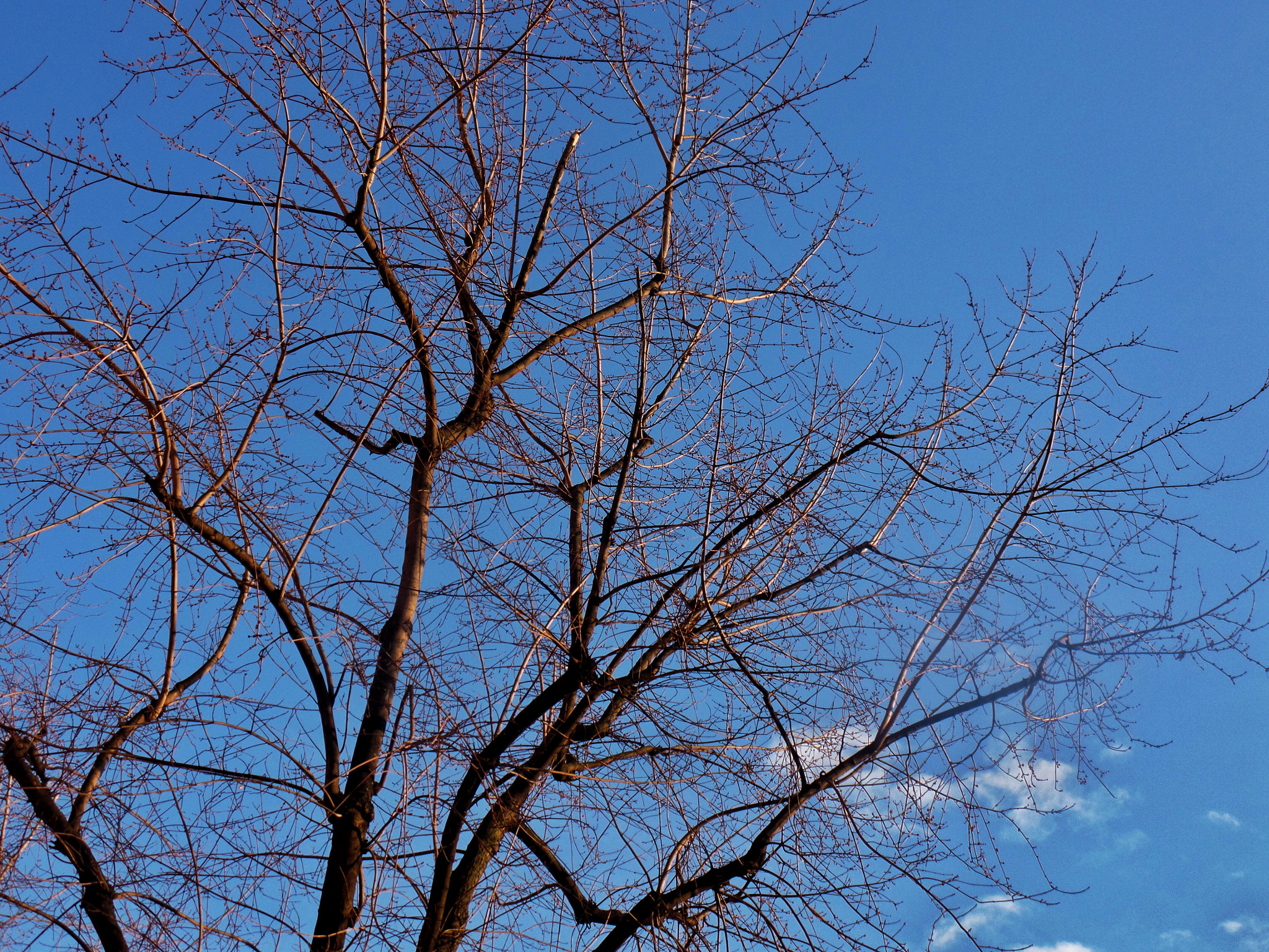 Samsung WB350F/WB351F/WB352F sample photo. Blue sky photography
