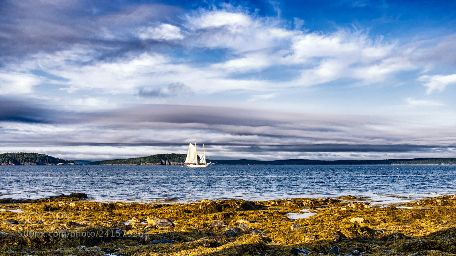 Olympus OM-D E-M5 sample photo. Sailing (color) photography