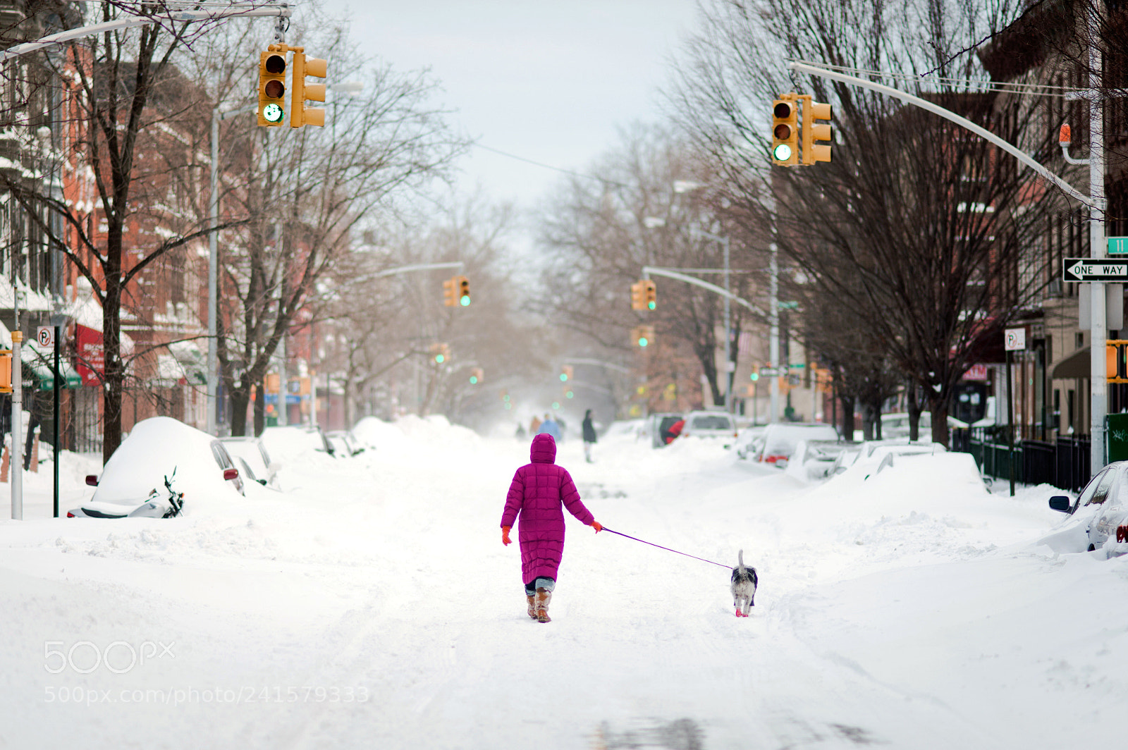 Nikon D700 sample photo. After the storm photography