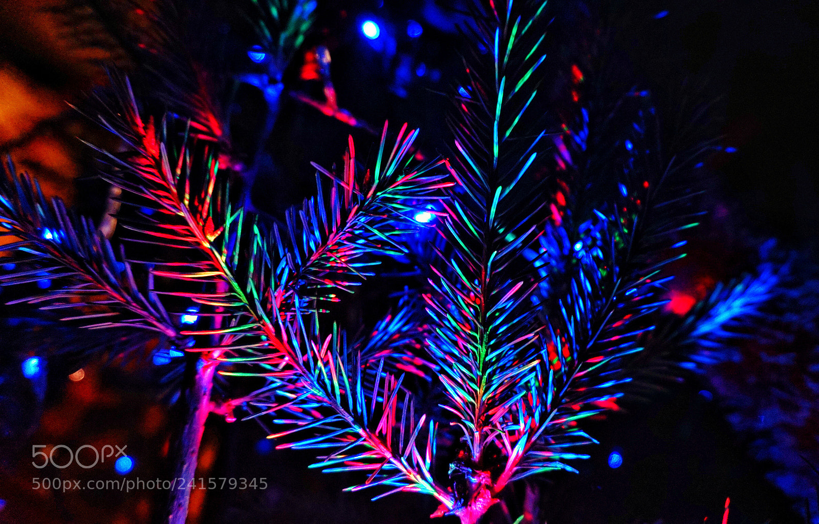 Sony Alpha a5000 (ILCE 5000) sample photo. Christmas tree photography