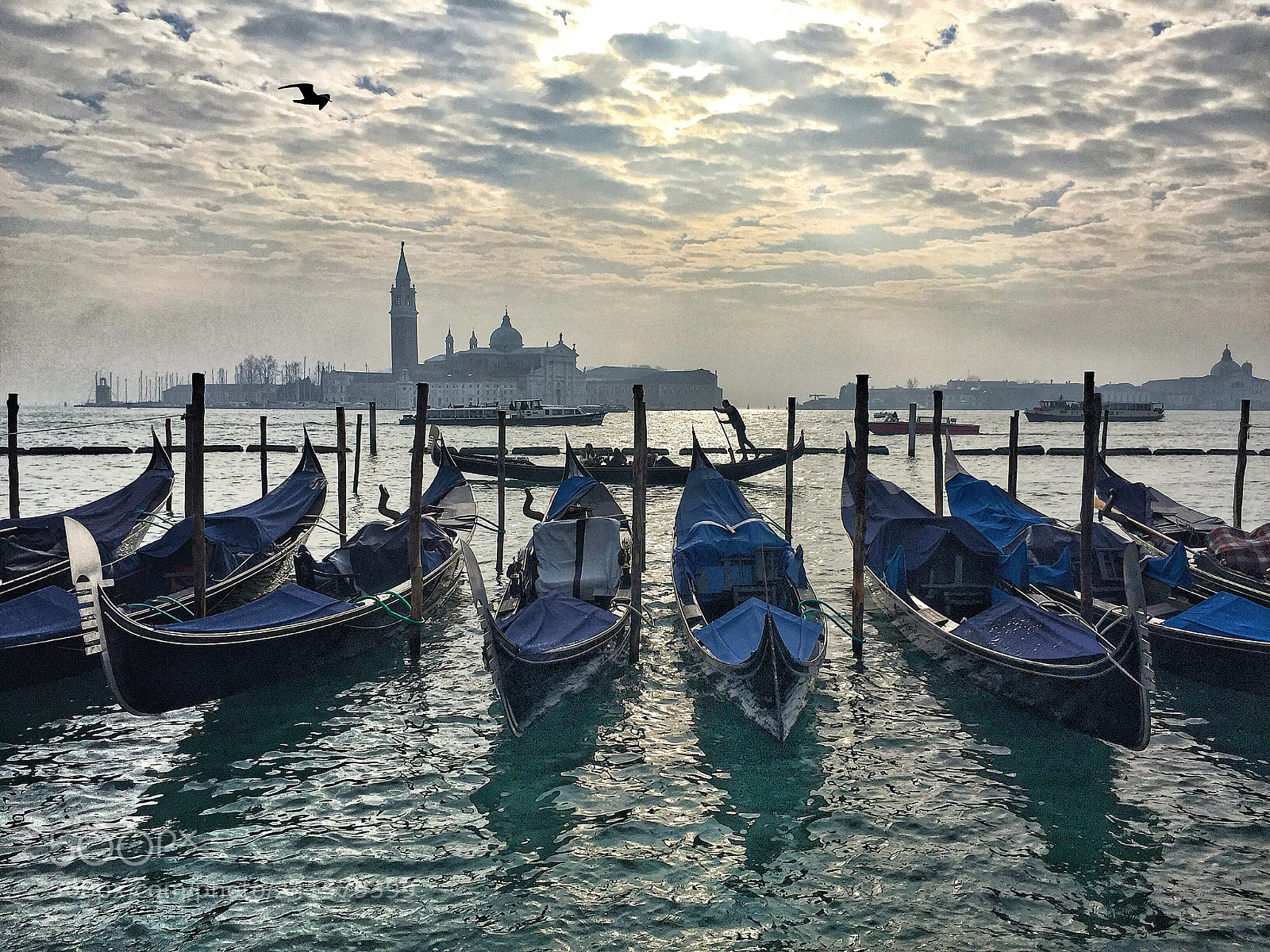 Apple iPhone 6 sample photo. Venice photography