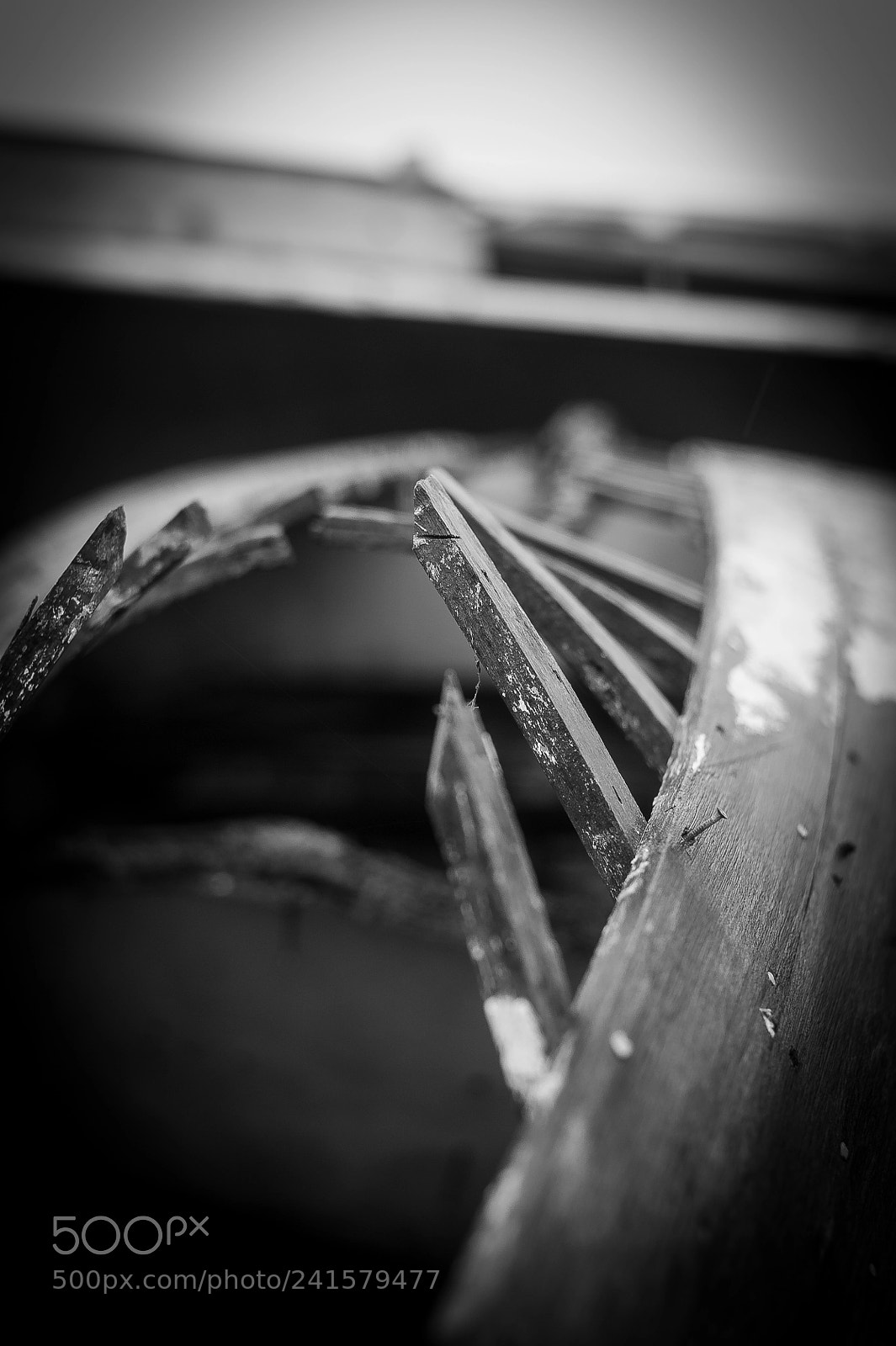 Nikon D700 sample photo. Vestige photography