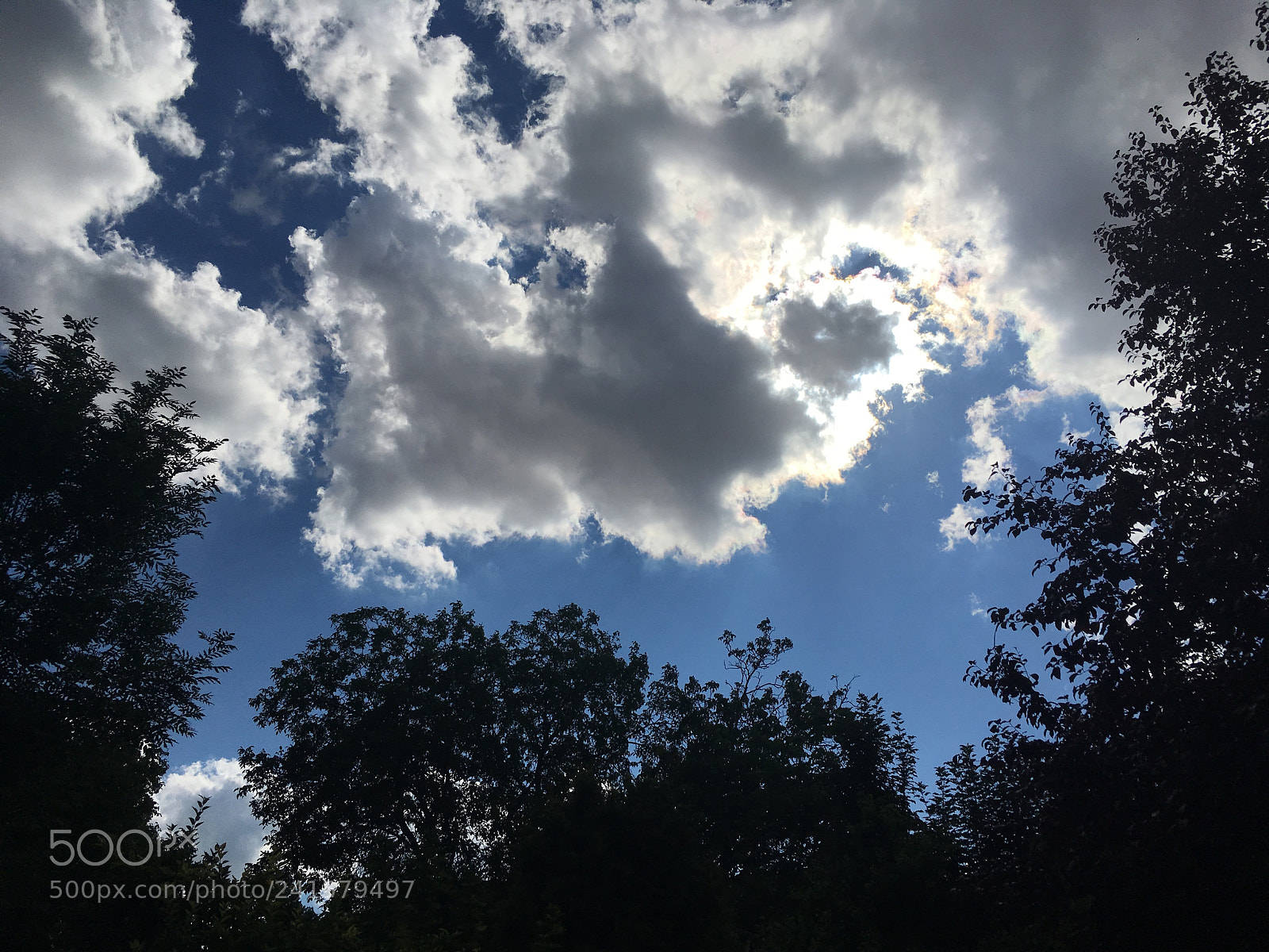 Apple iPhone SE sample photo. Img photography