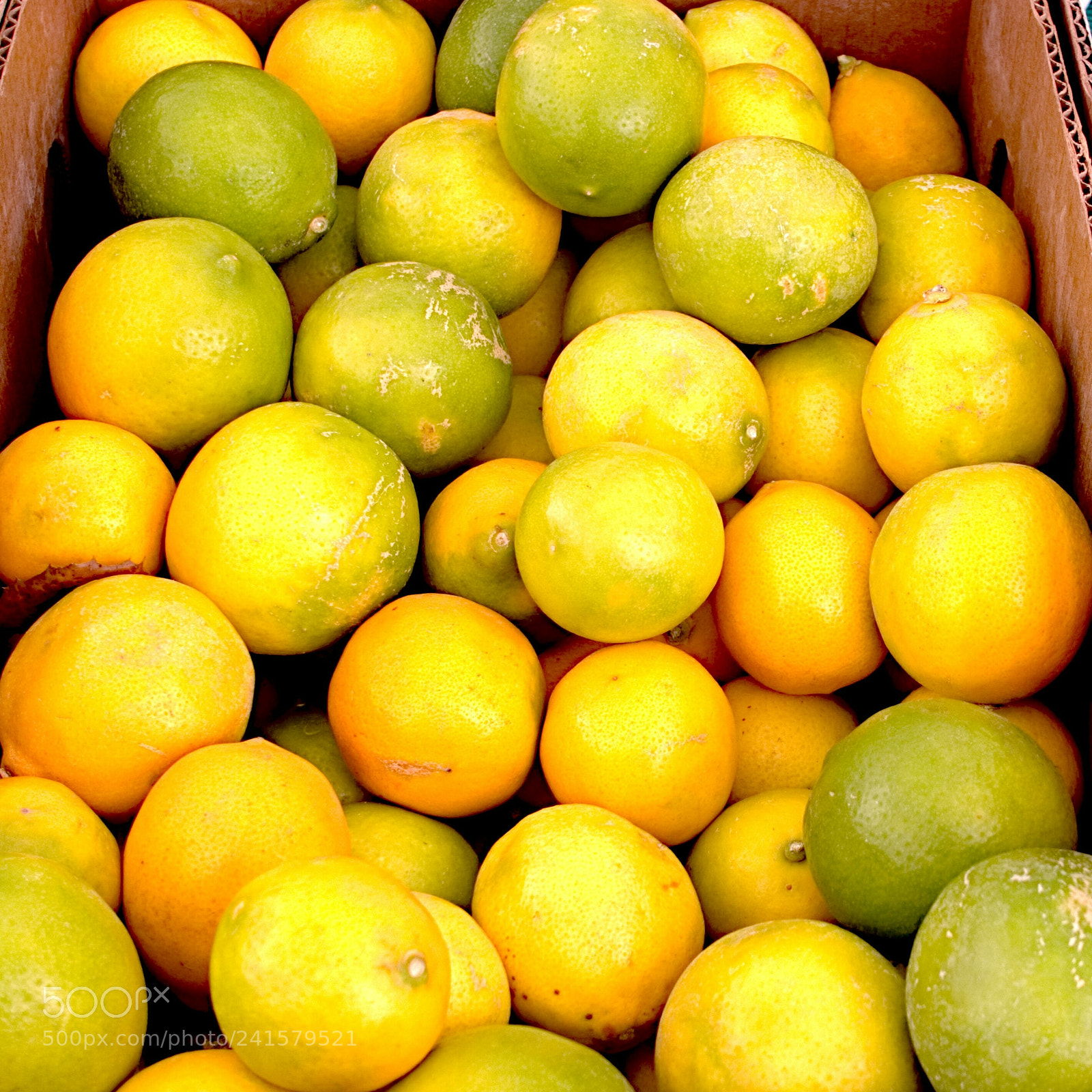 Sony Cyber-shot DSC-RX100 III sample photo. Lemons photography