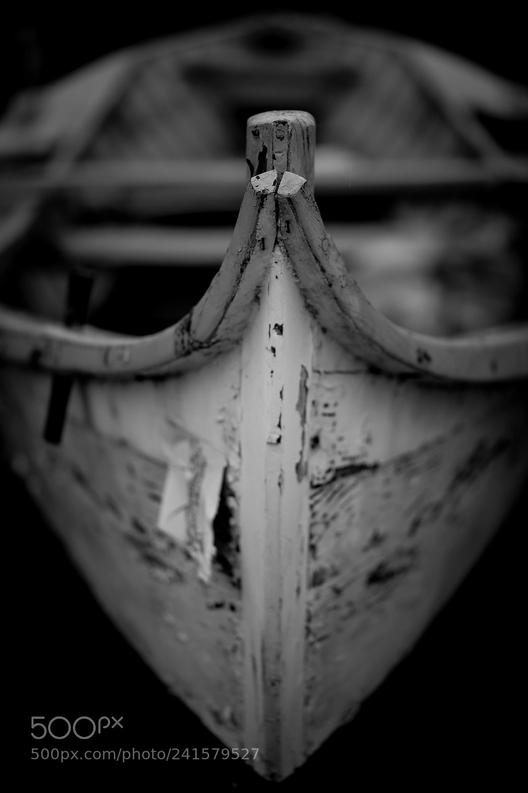 Nikon D700 sample photo. Pinasse photography
