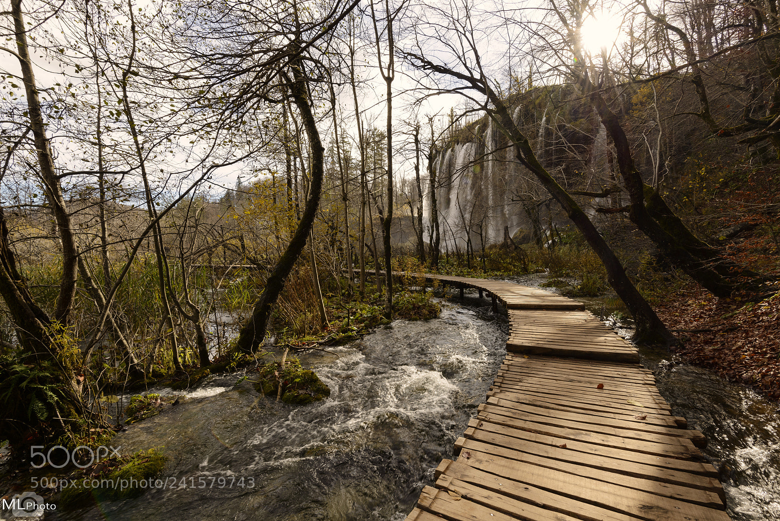 Nikon D800 sample photo. Serenity path photography