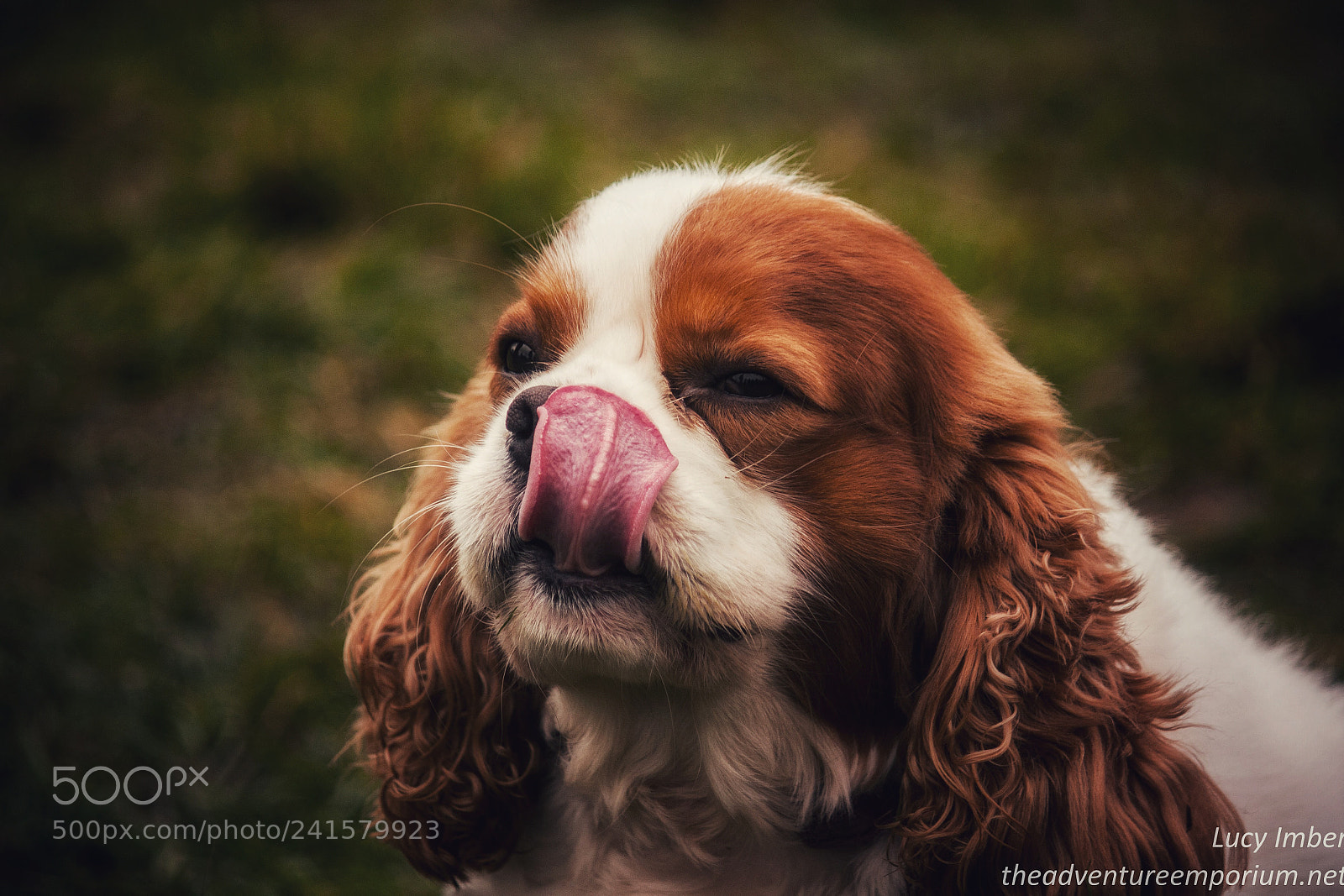 Canon EOS 40D sample photo. Tongues out photography
