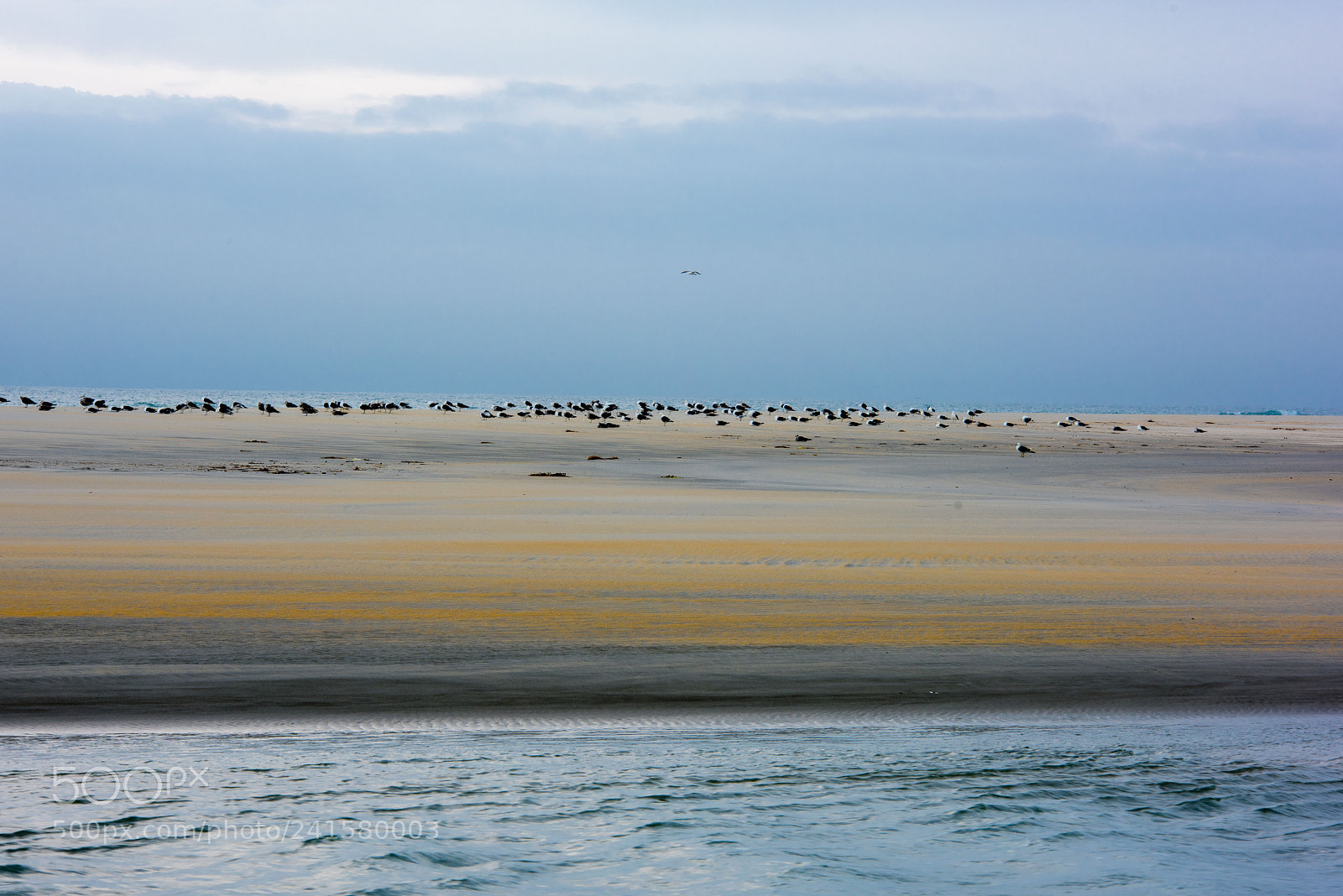Nikon D810 sample photo. A time to rest photography