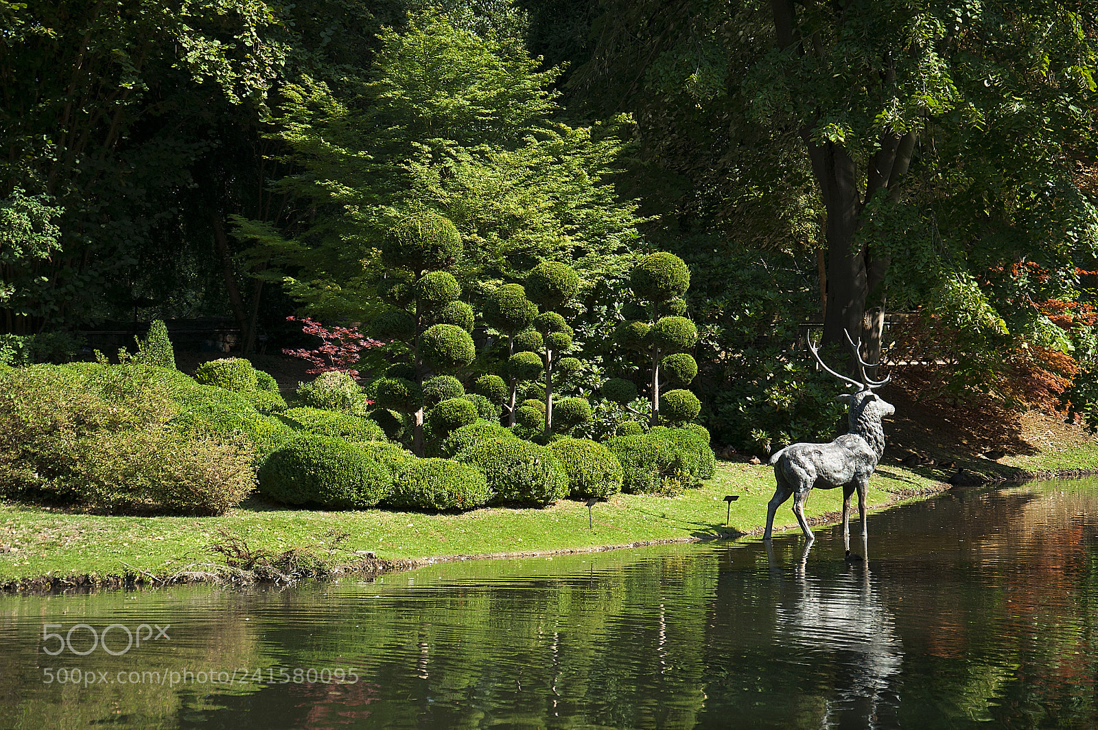 Nikon D90 sample photo. Le cerf les pattes photography